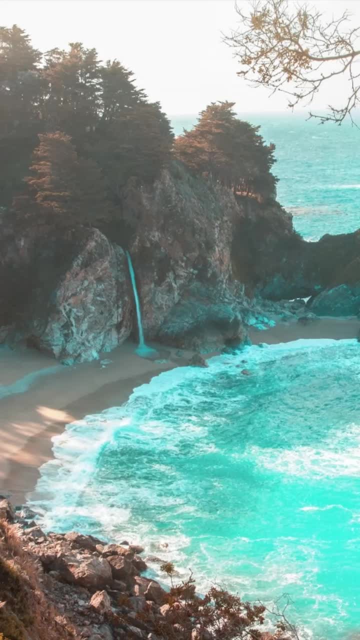 Live Wallpaper tagged with Paradise