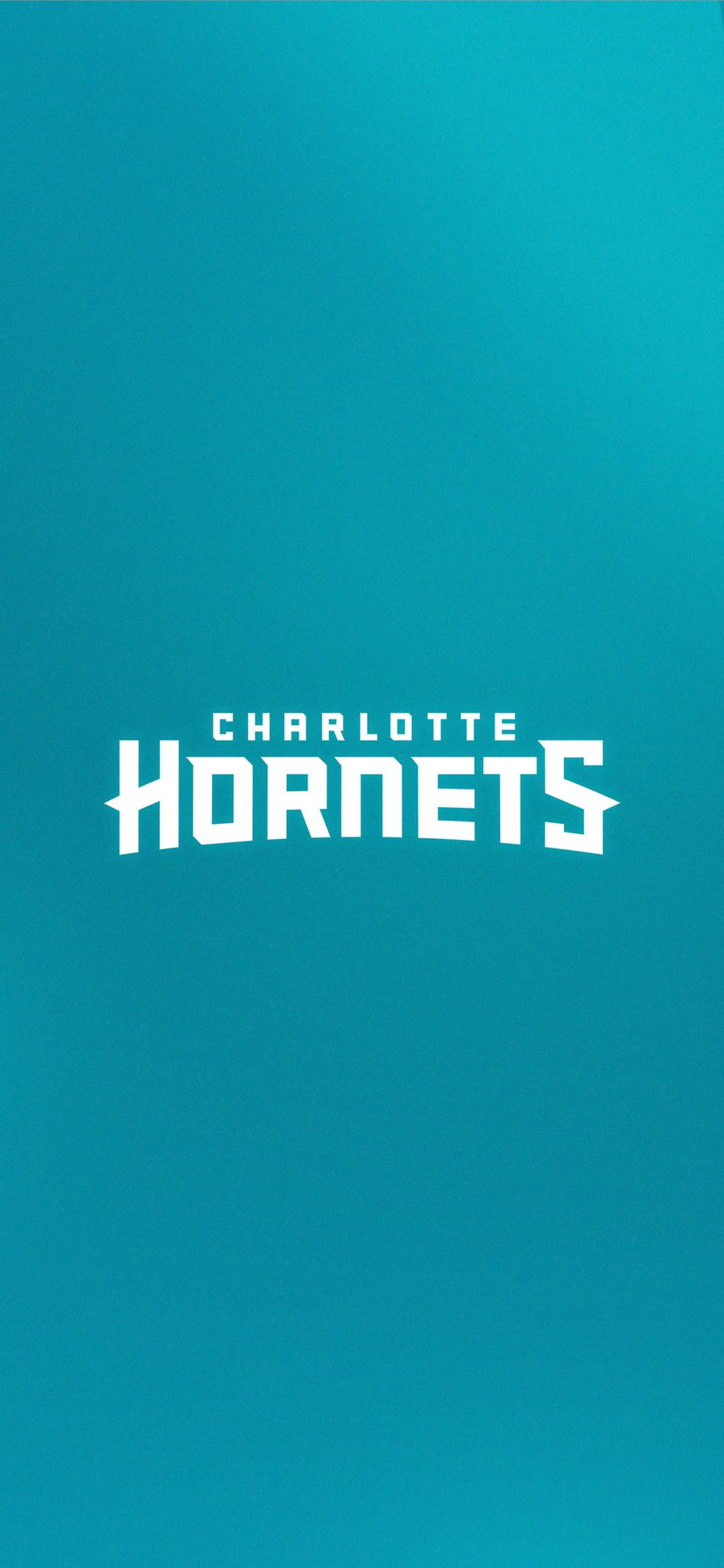 Charlotte Hornets iPhone X