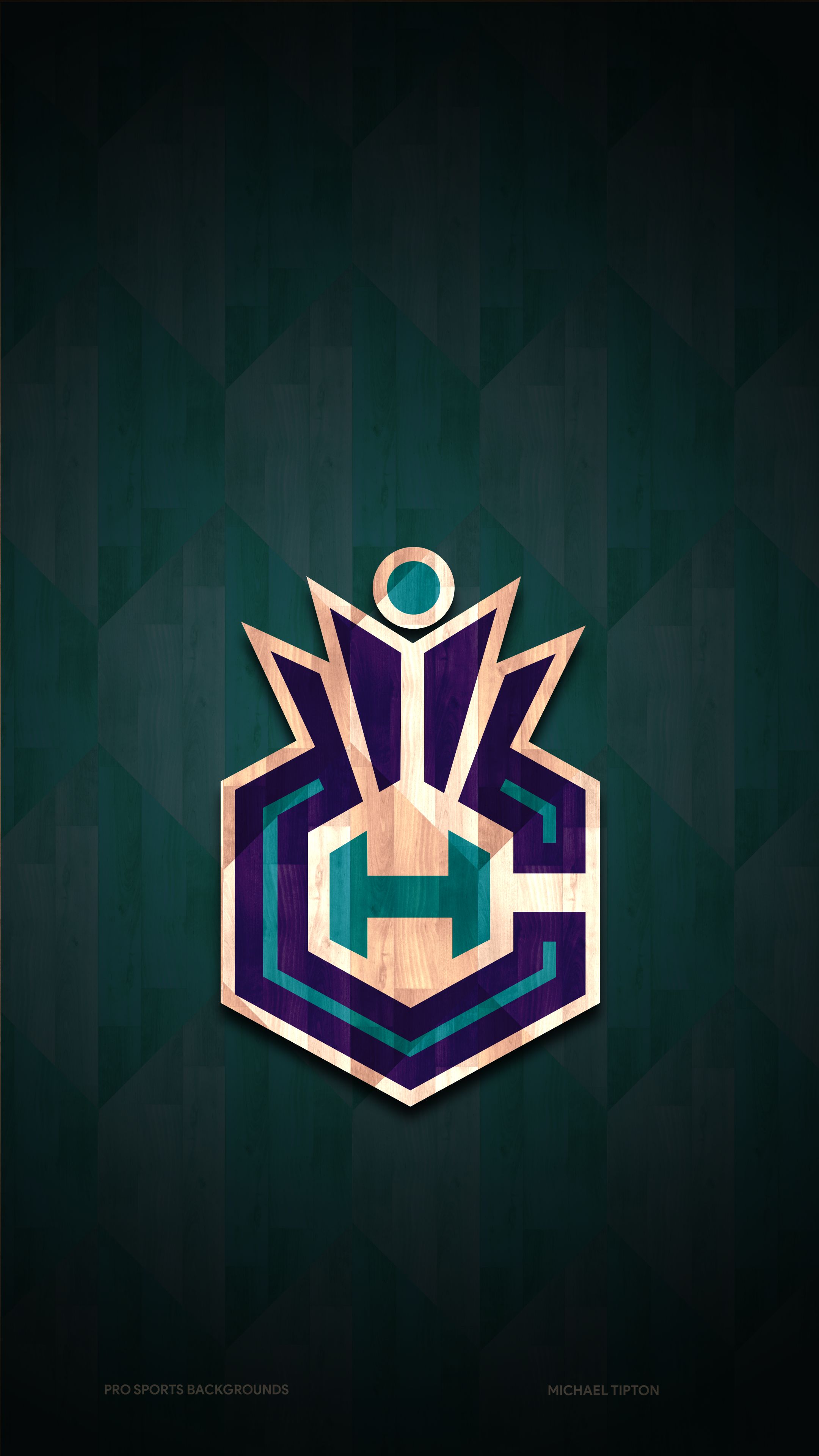 Download Charlotte Hornets wallpaper