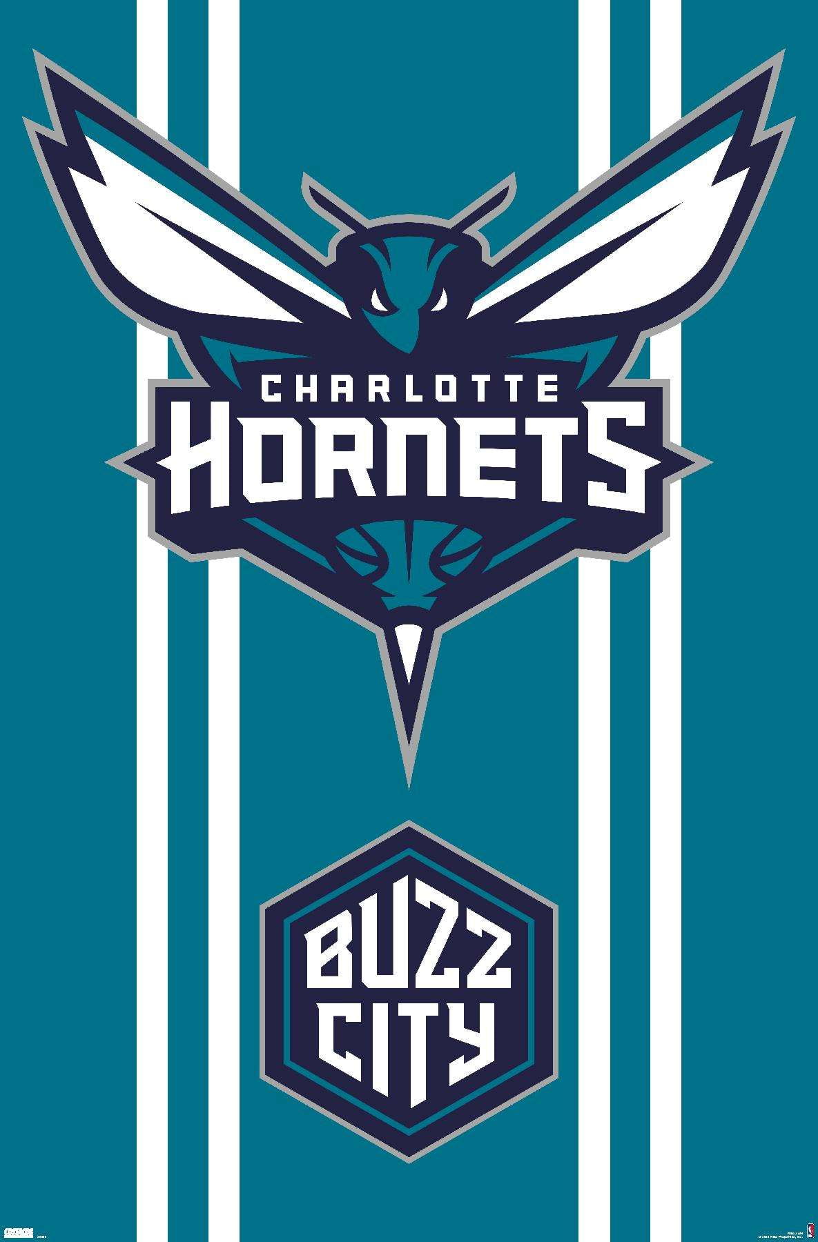 NBA Charlotte Hornets 20 Wall