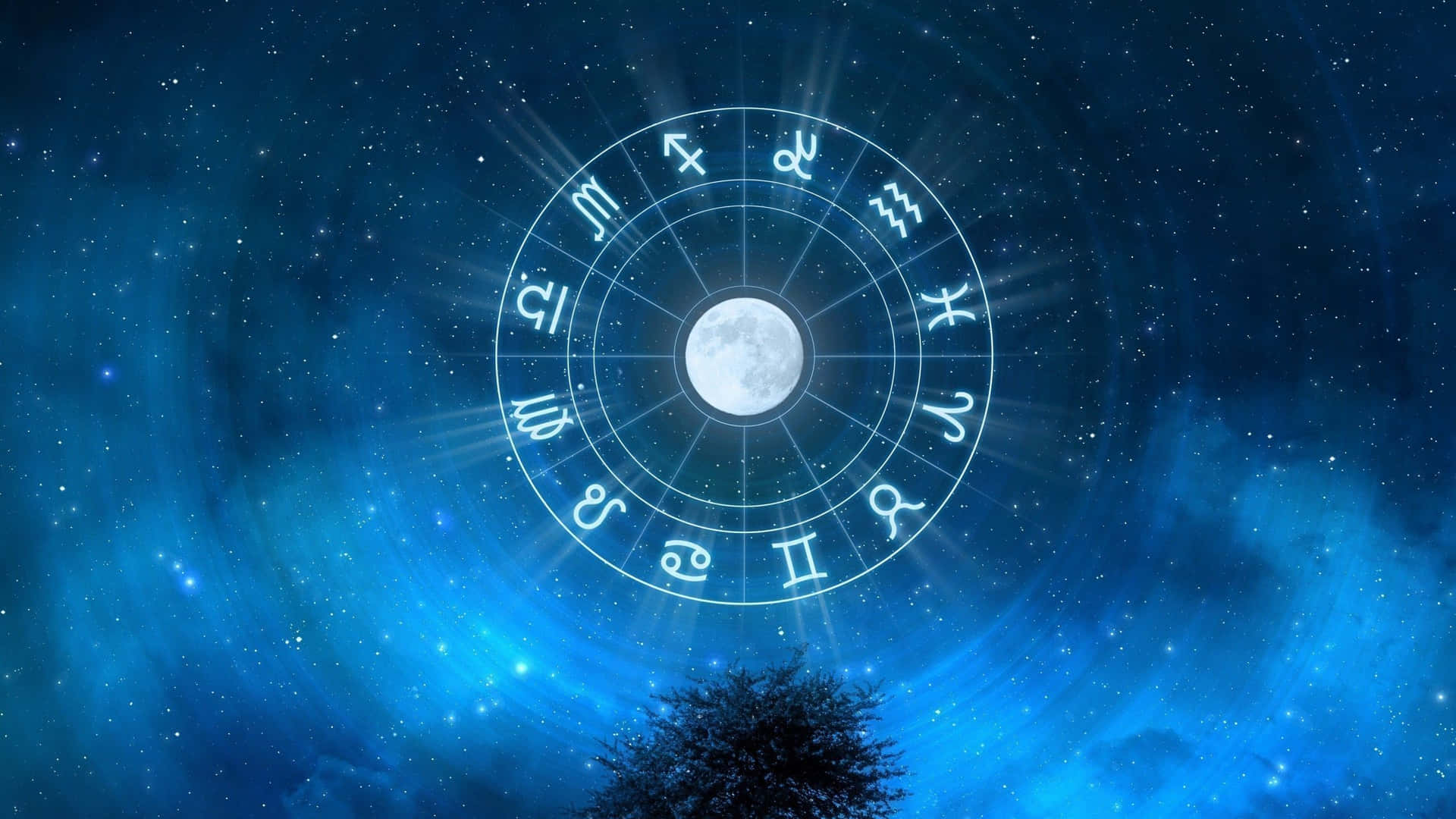 Zodiac Sign and Uncover Your Horoscope