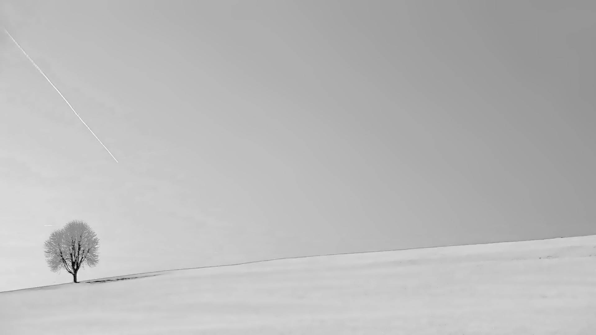 Serene Waterfront Minimalist Desktop