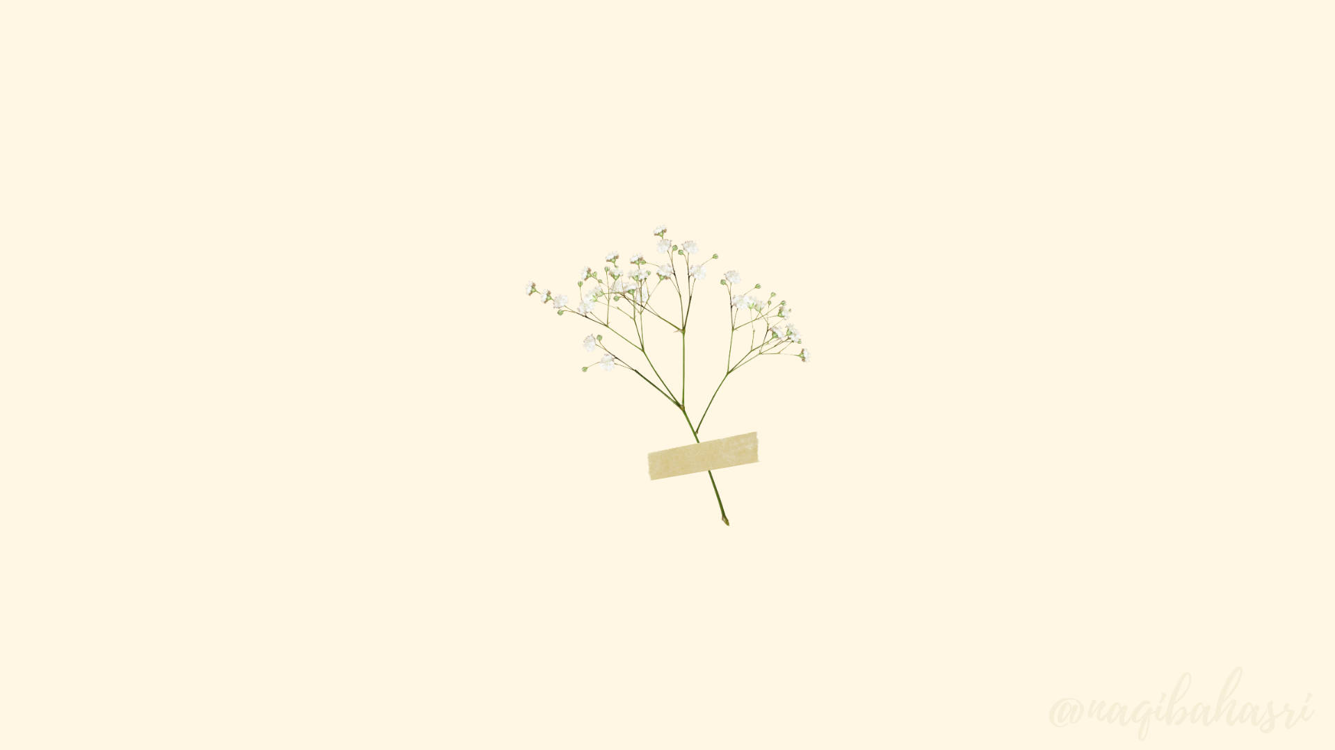 Taped Flowers Minimal Aesthetic Desktop