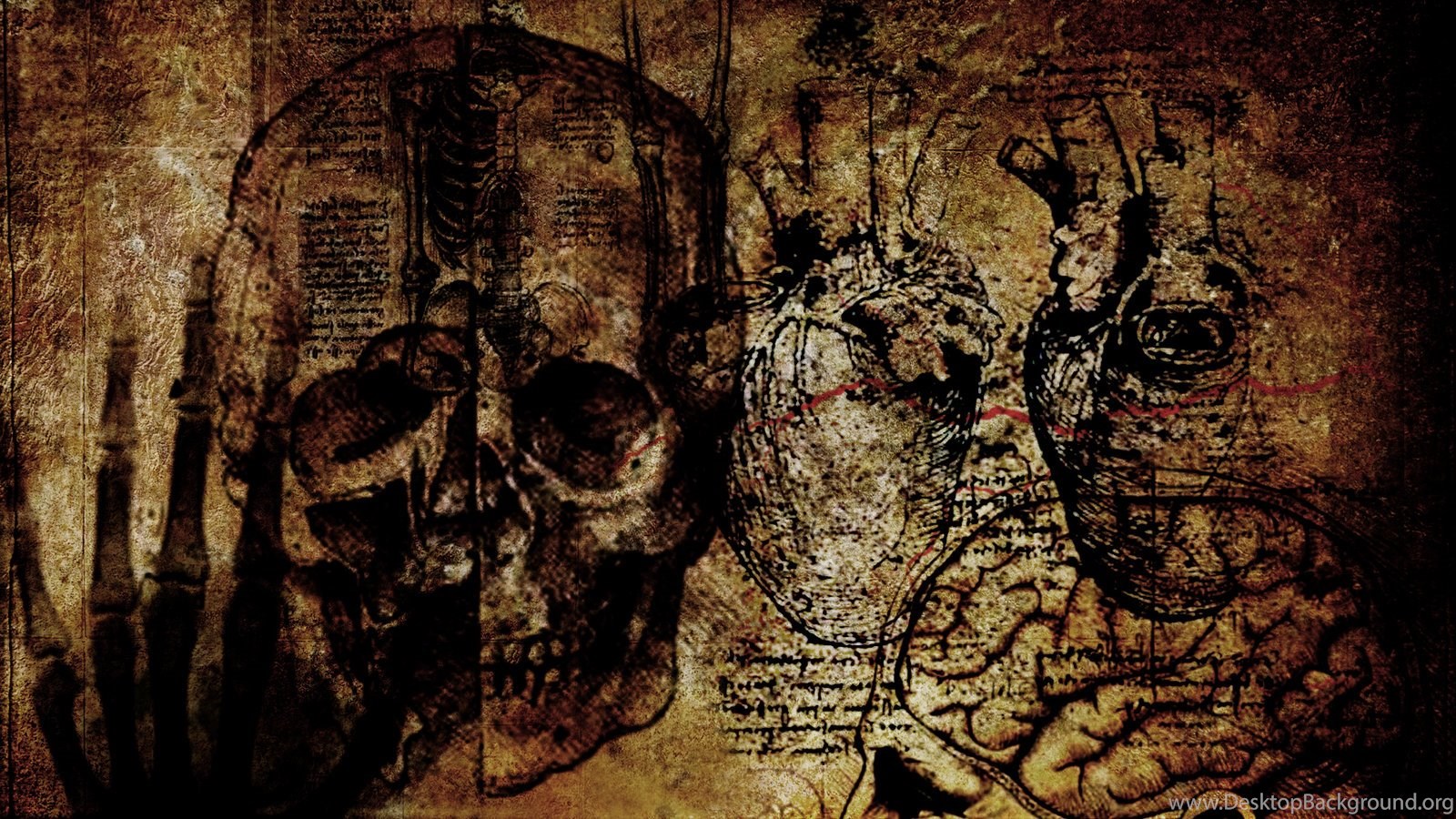 Medical Wallpaper Related Keywords