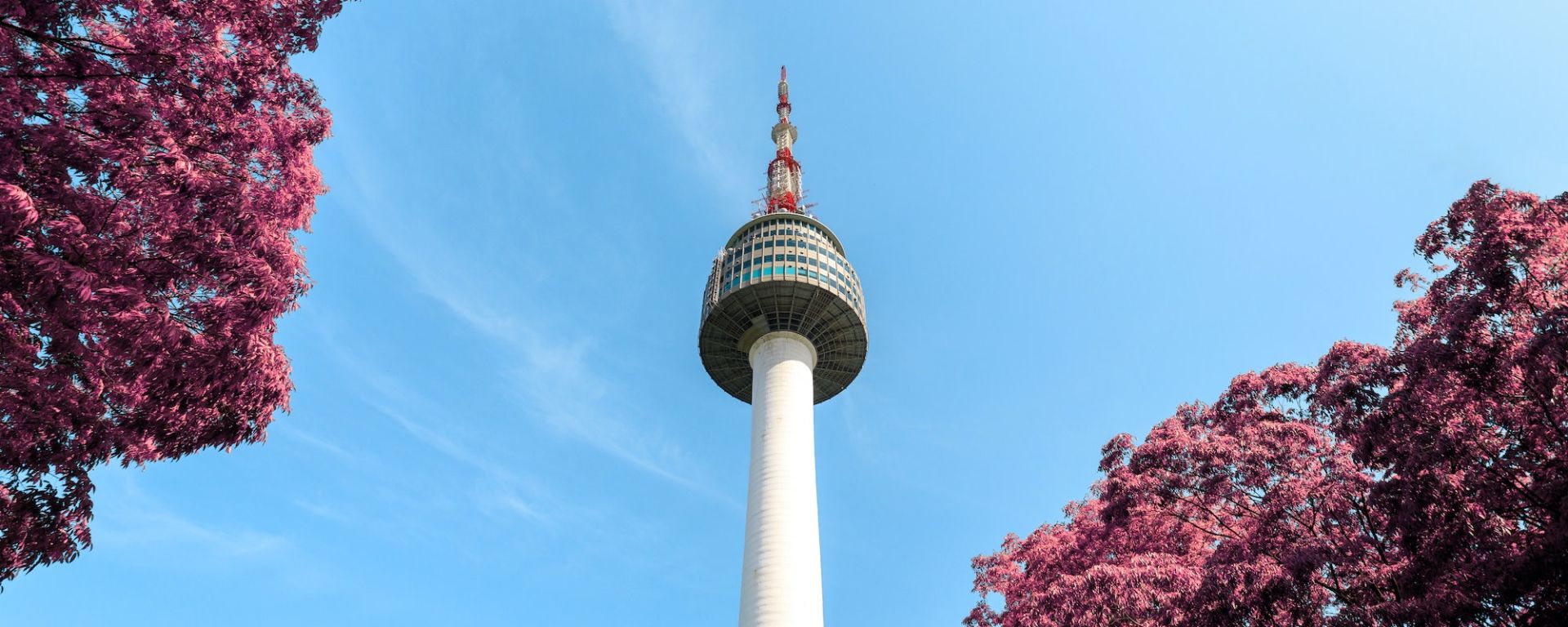 BDO Korea and South Pole announce their