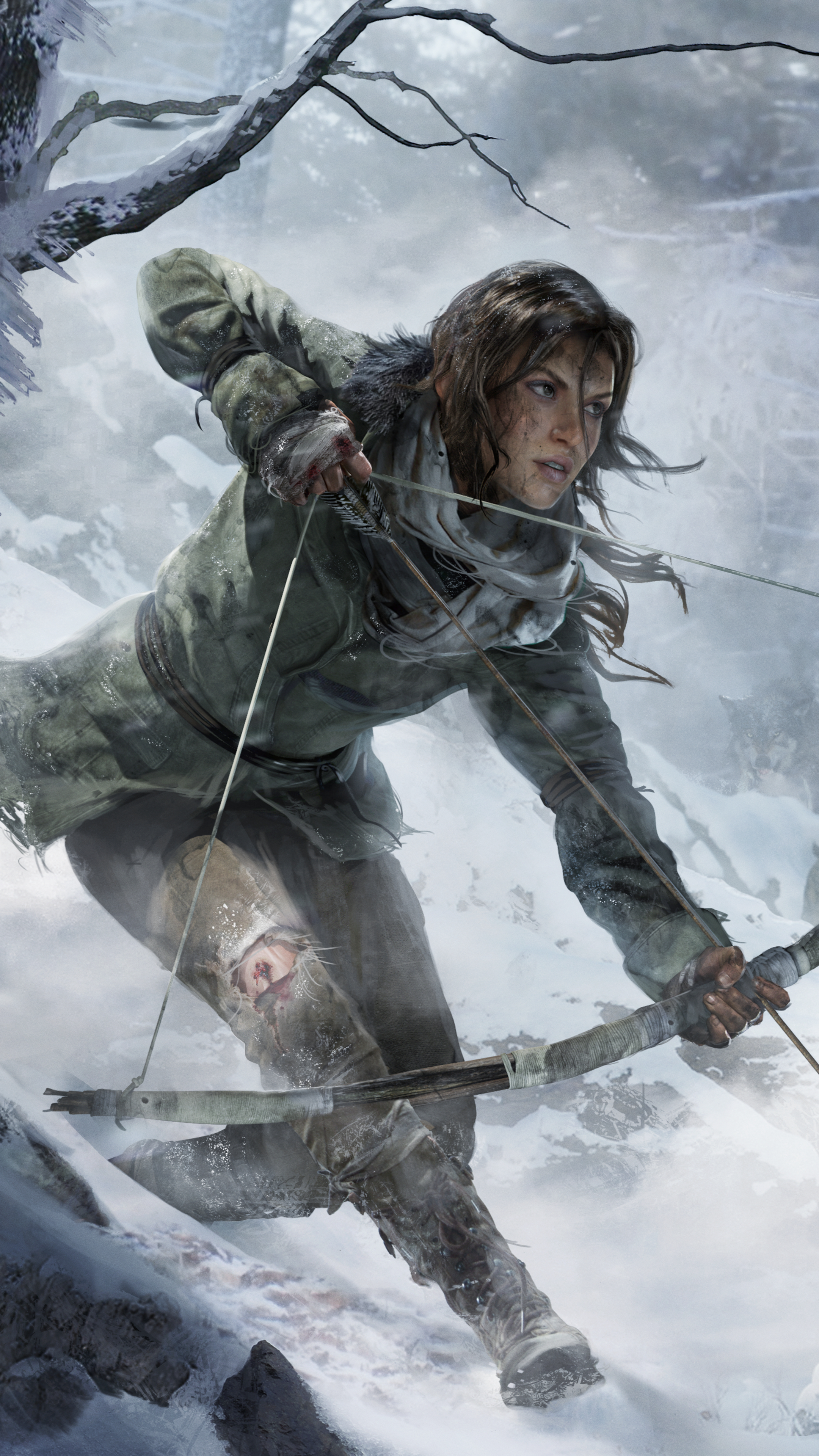 Rise of the Tomb Raider Mobile Wallpaper