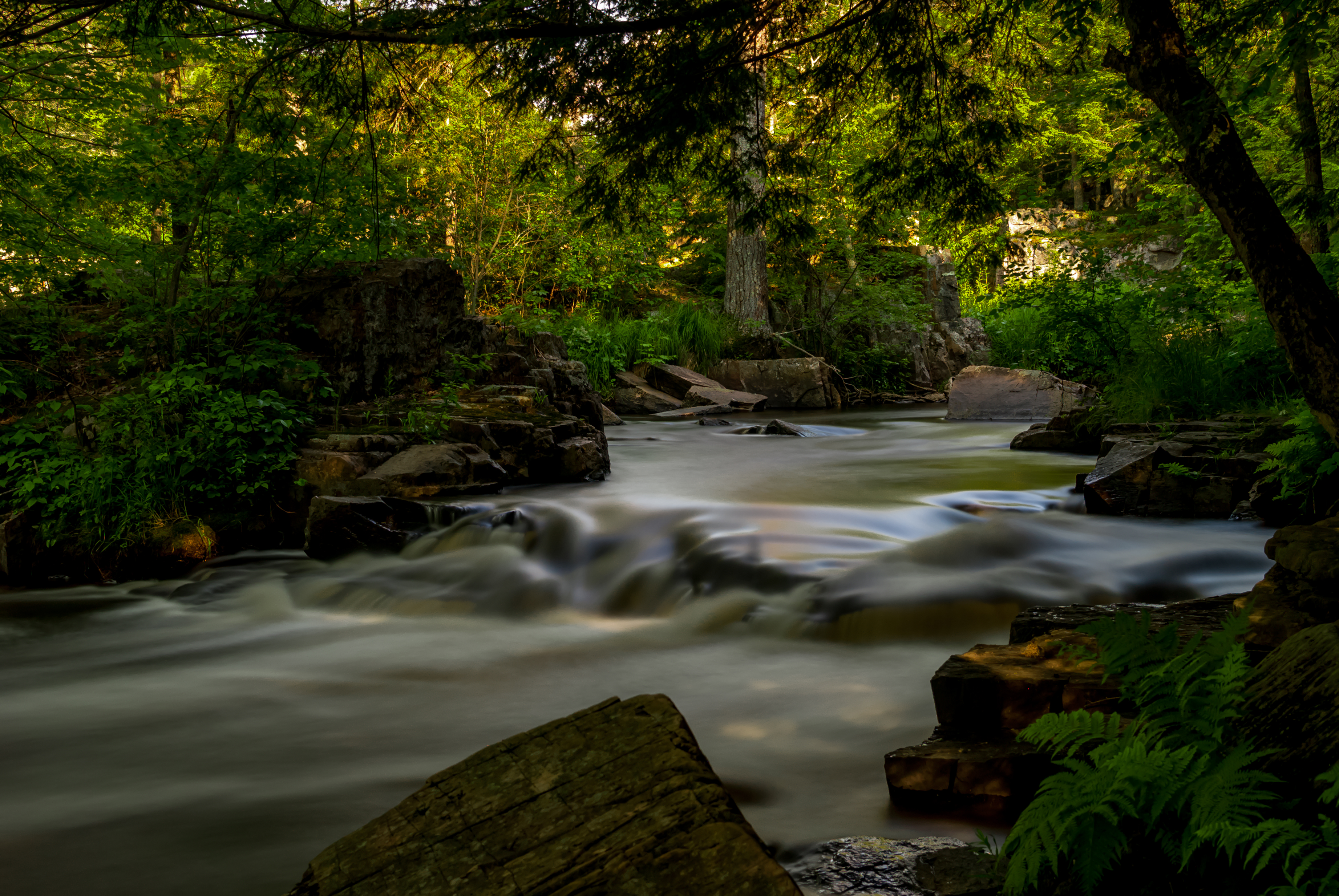 Woods Neutral Density PLC WF