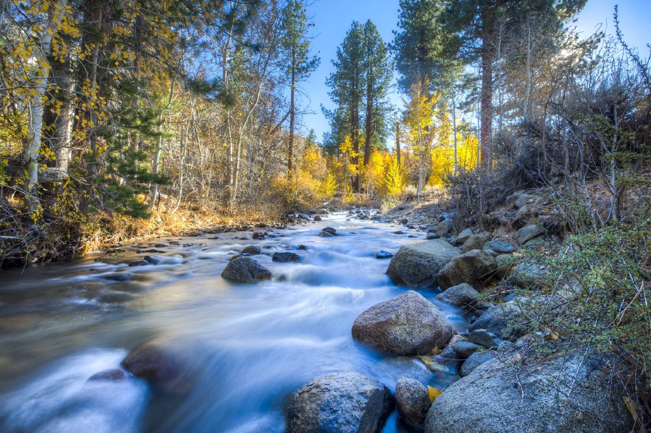 wood, nature, water, river, forest