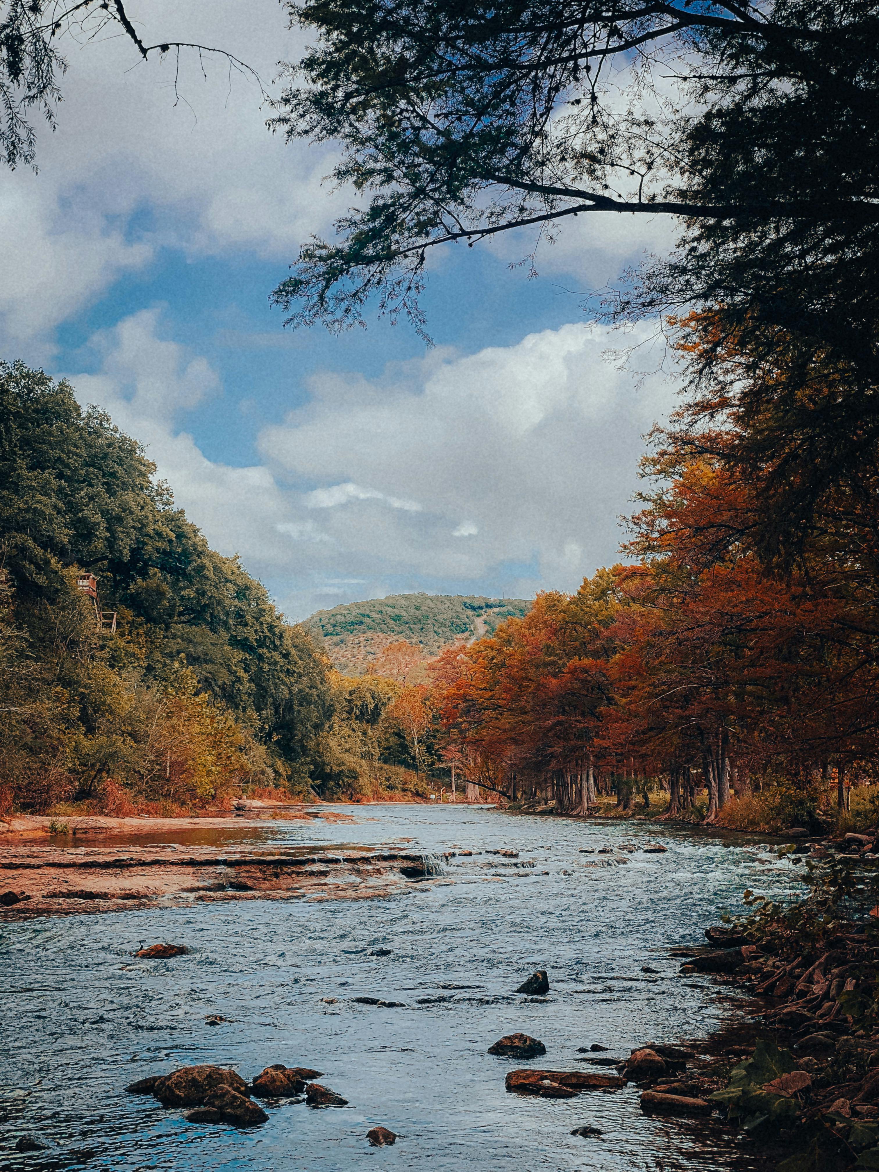 River Between Trees · Free