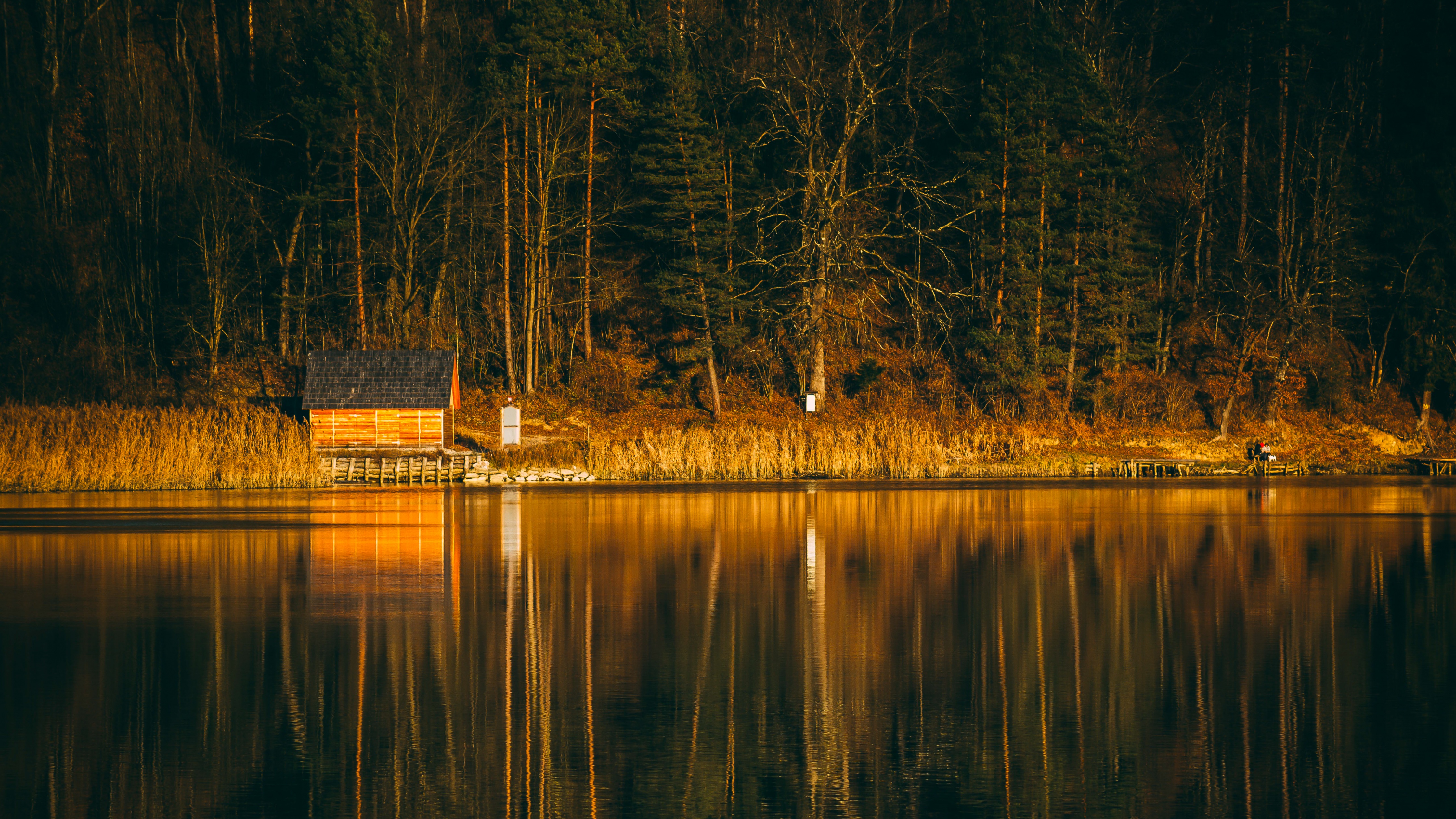 River Wallpaper 4K, Forest, Wooden