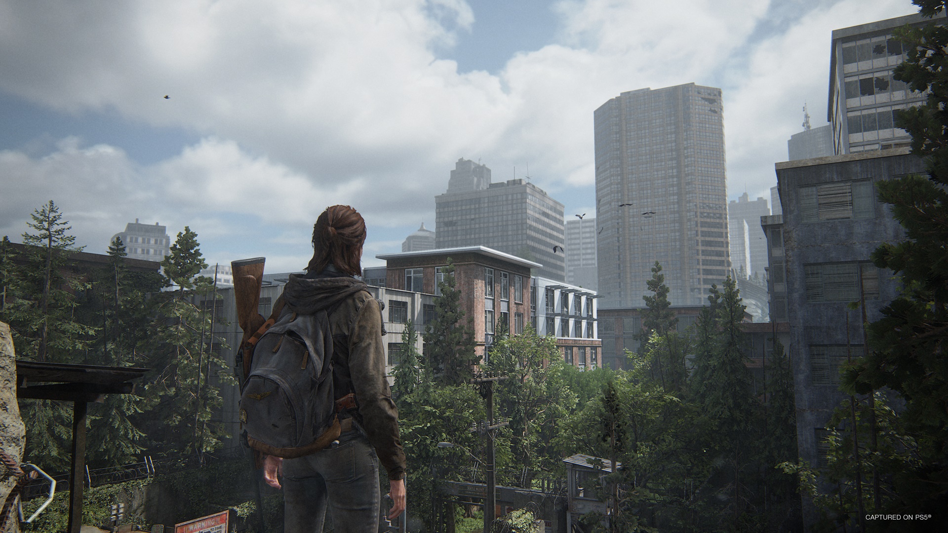 Last of Us Part II Remastered Review