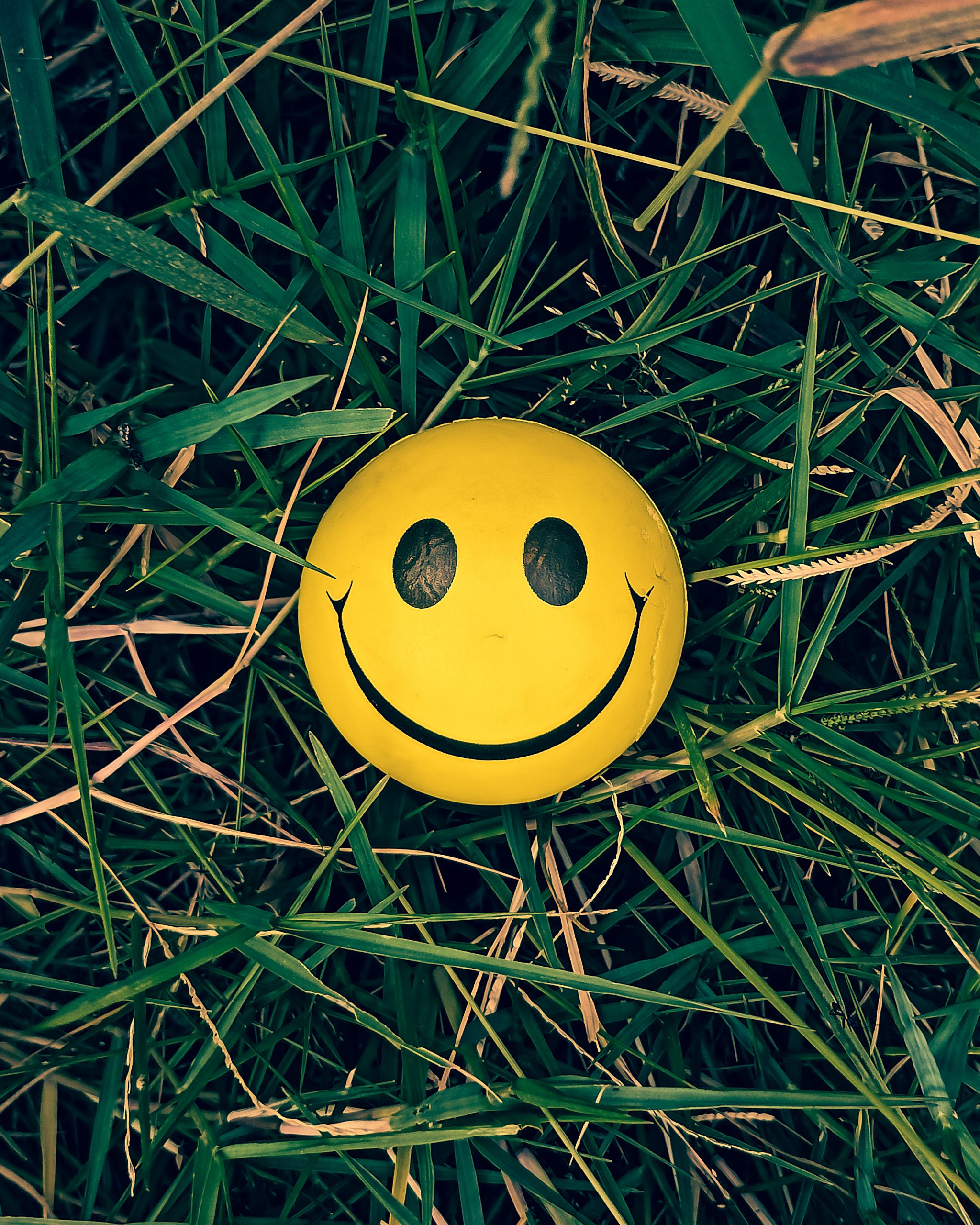 Download wallpaper 2048x2560 smiley