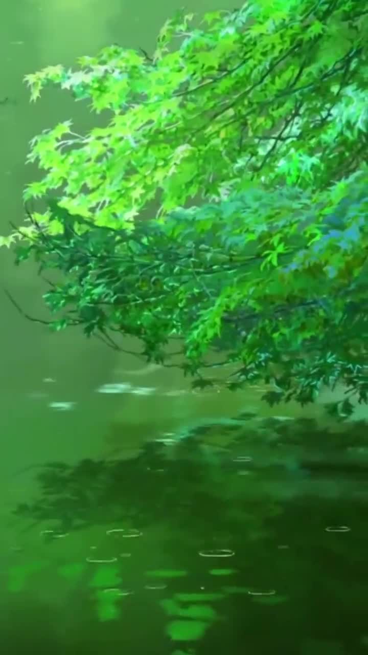 Leaves Live Wallpaper and More