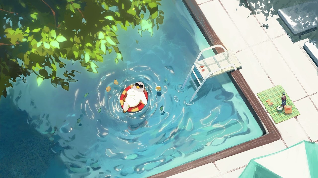 Pigeon Chilling live wallpaper