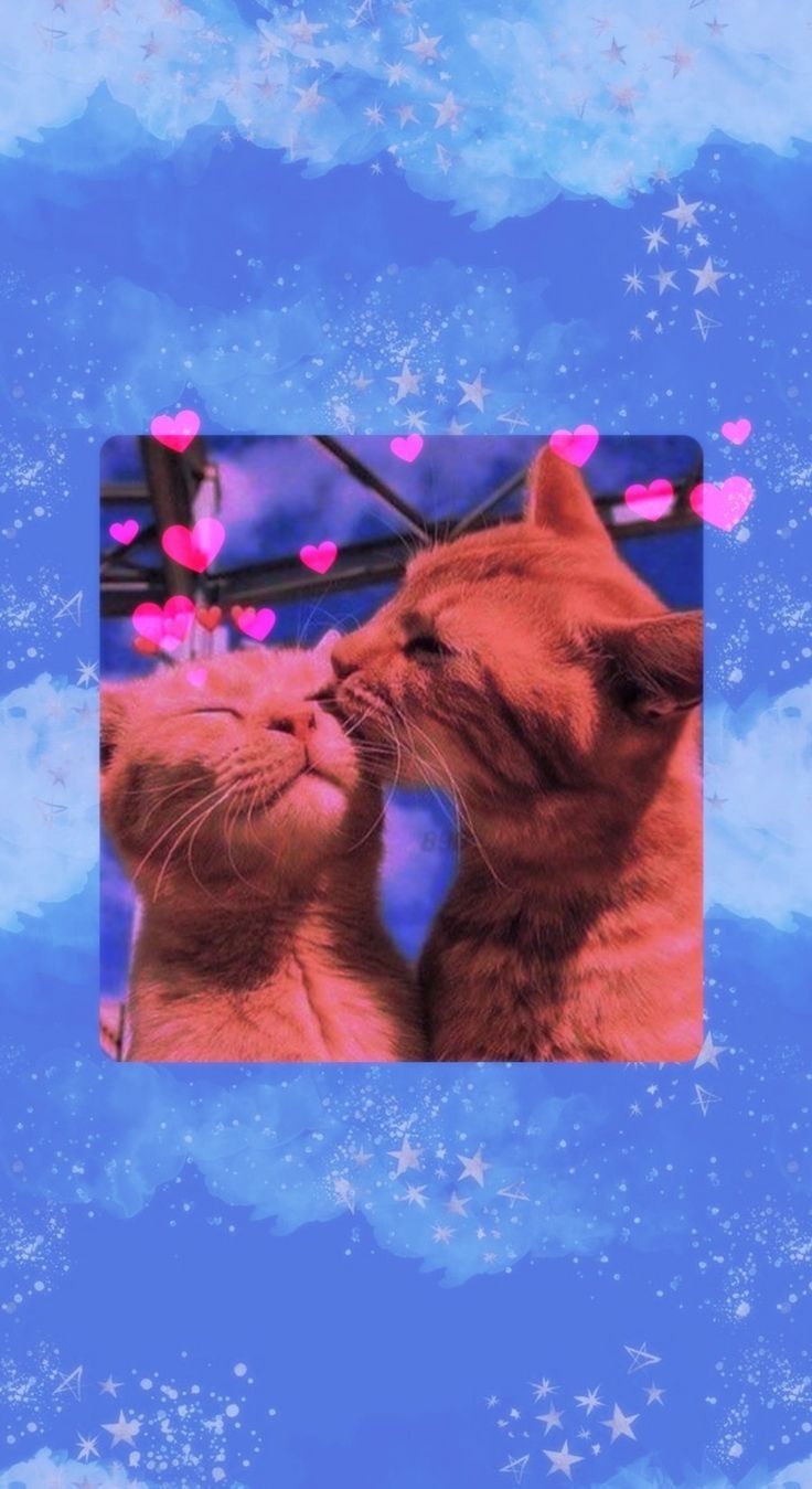 Cartoon wallpaper iphone, Couple cats