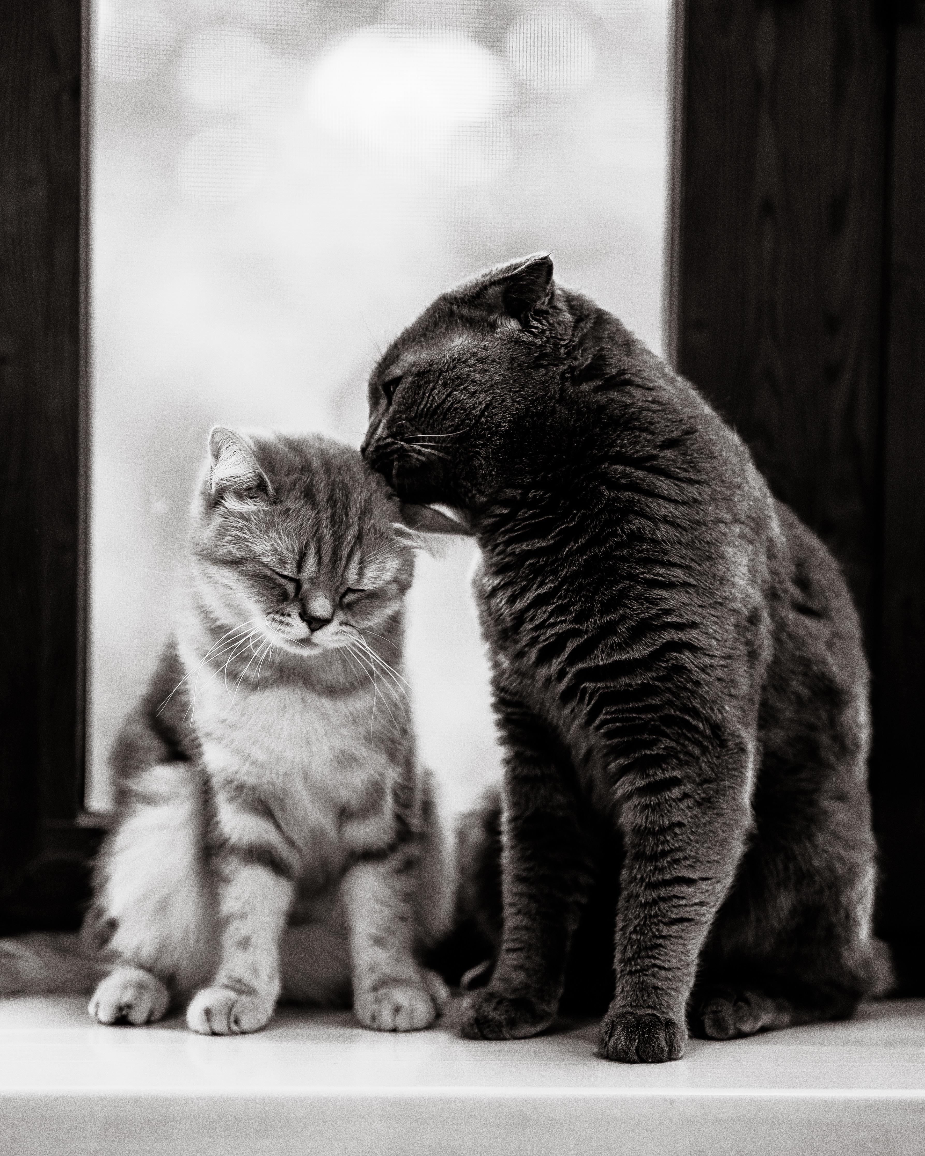 Took a picture of my beautiful couple