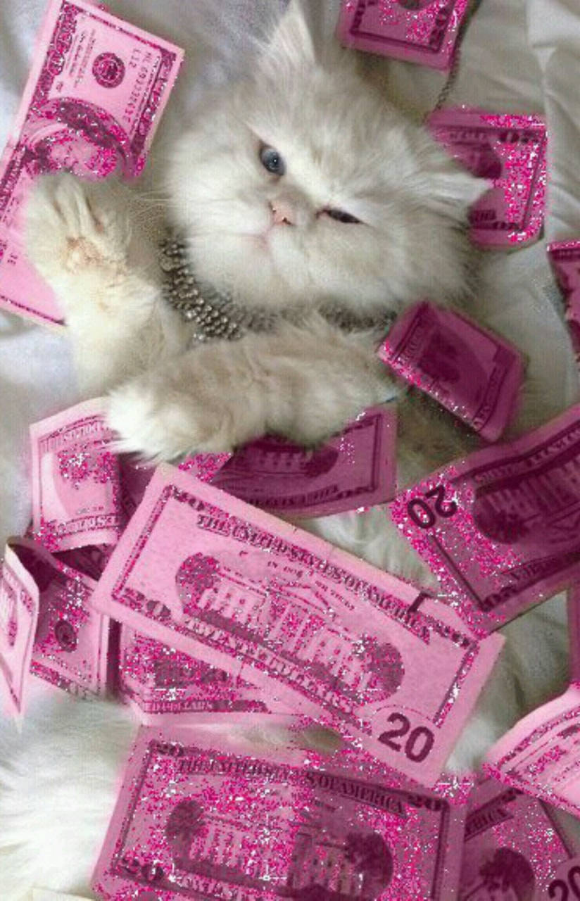 Money Background Cat Pink Aesthetic