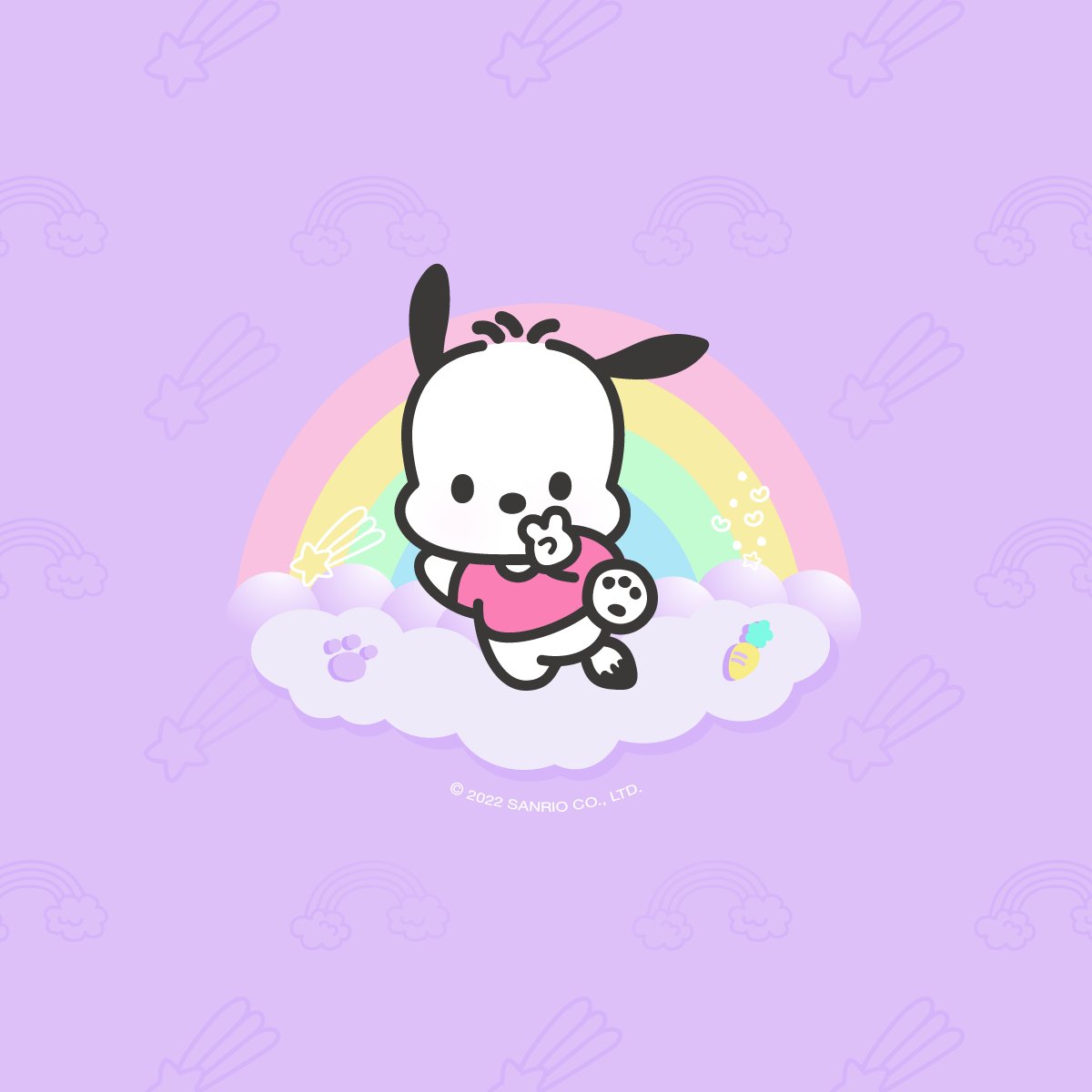 Sanrio #Pochacco on the go