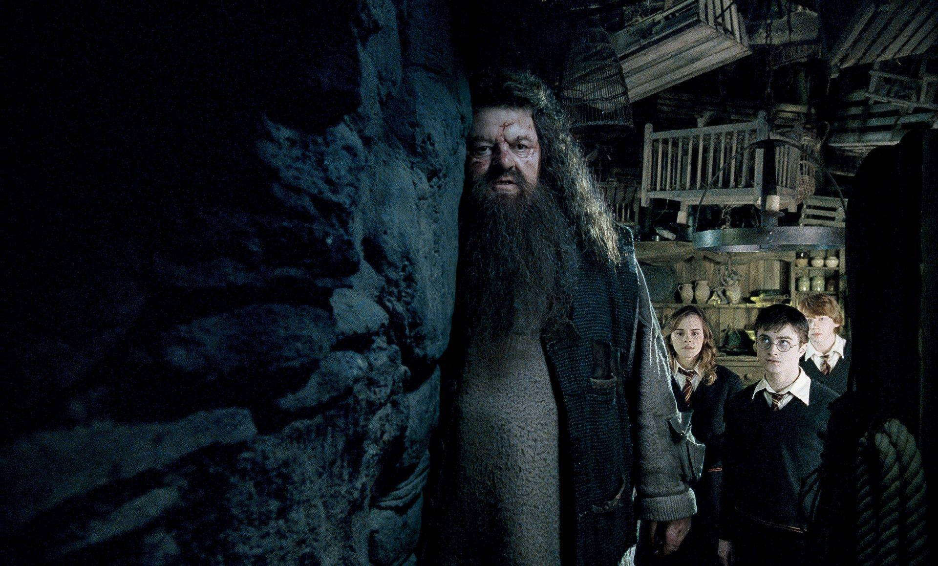 Rubeus Hagrid Wallpaper