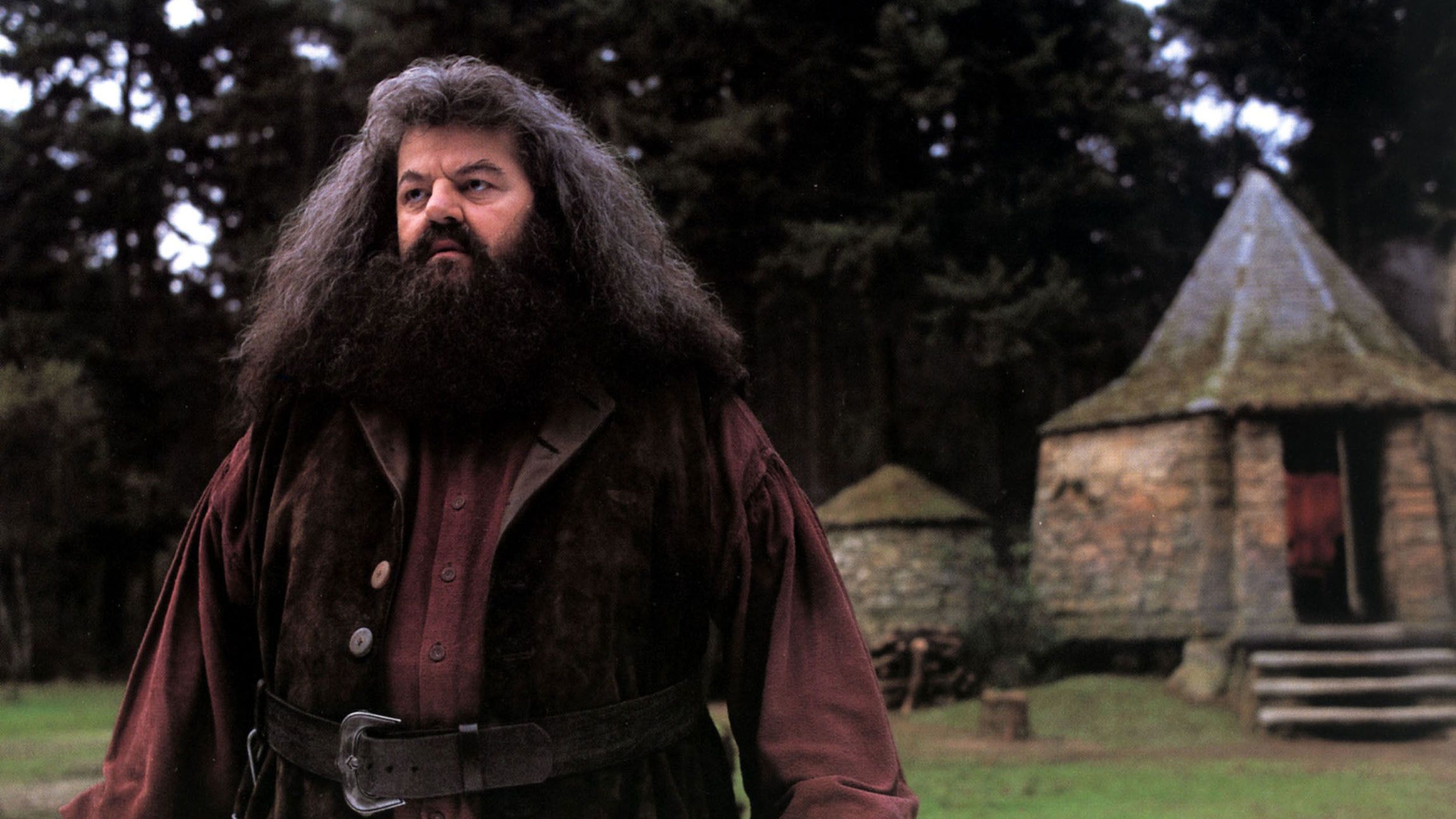 Robbie Coltrane, Hagrid in 'Harry