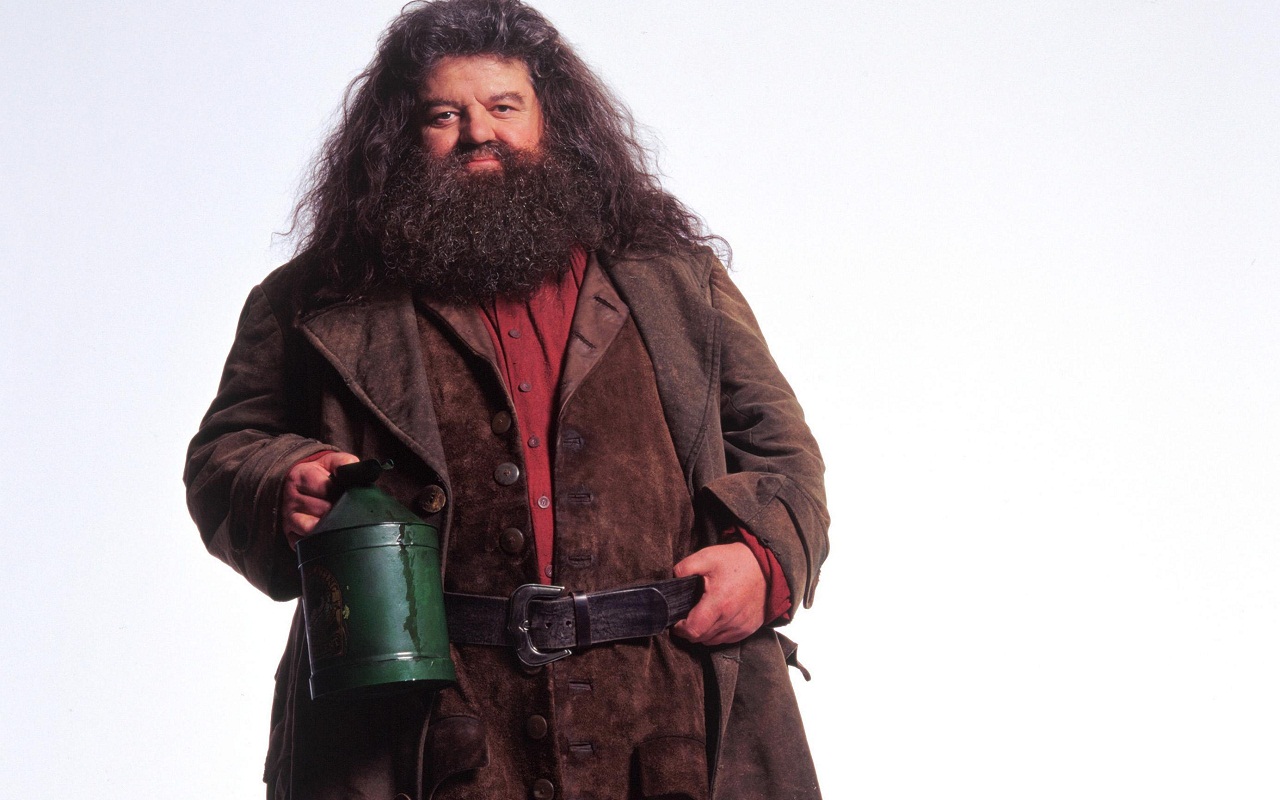Hagrid. Death Battle Fanon