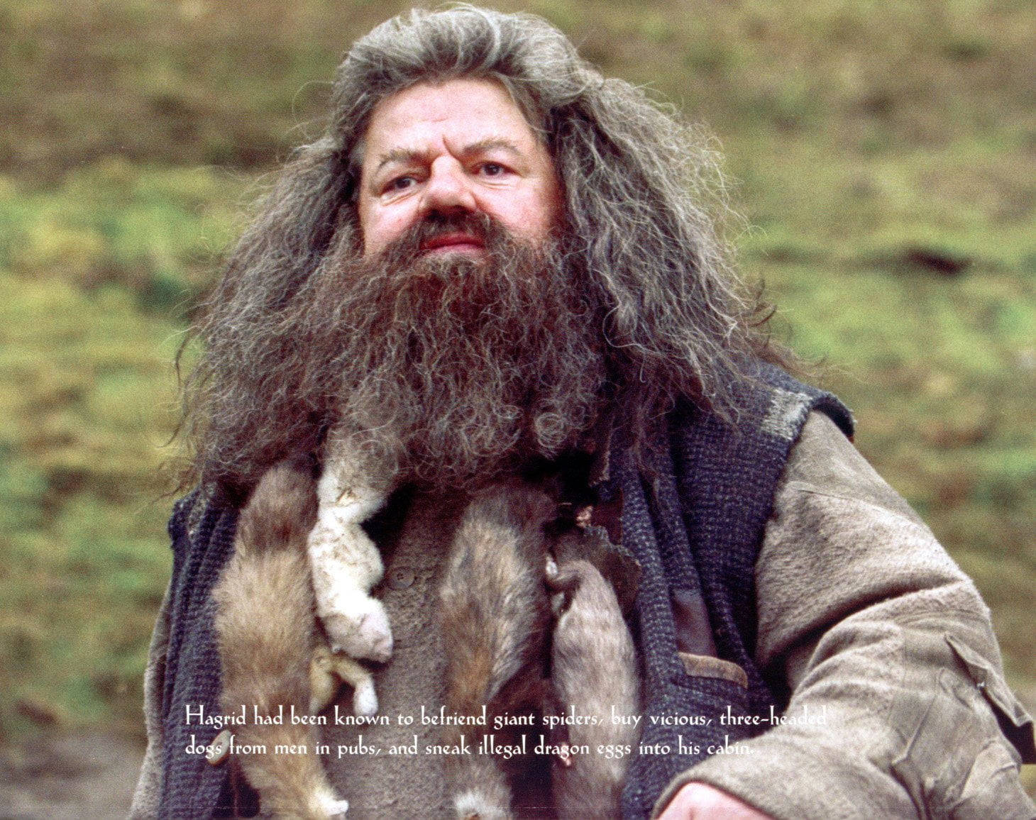 Rubeus Hagrid HD Wallpaper