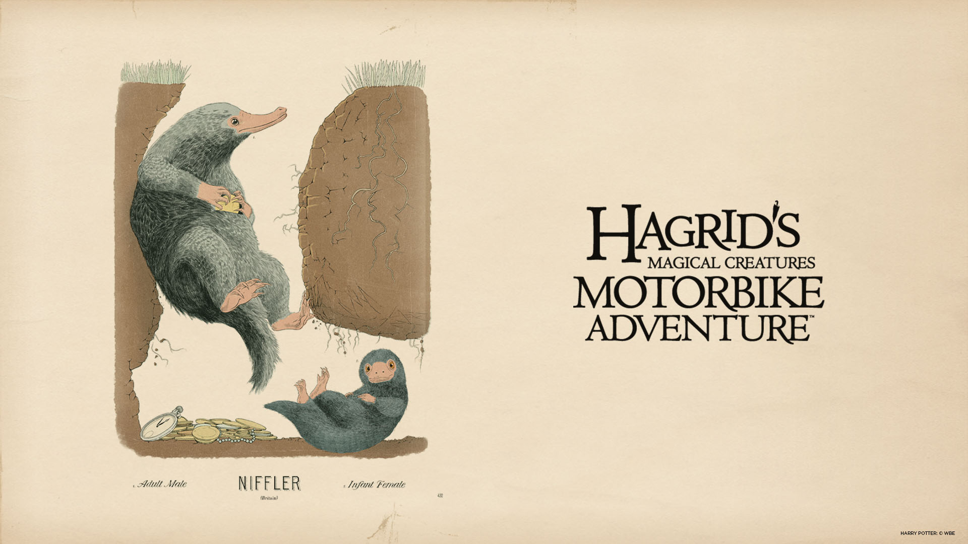 Download Hagrid's Magical Creatures