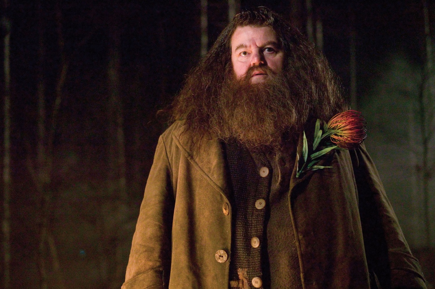 Robbie Coltrane, actor who played