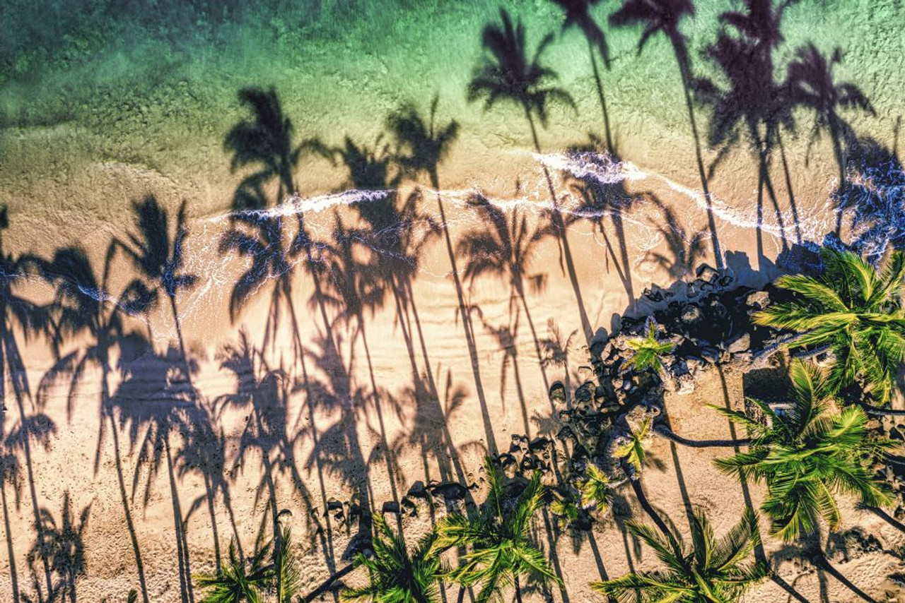 Aerial view of palm tree shadows on