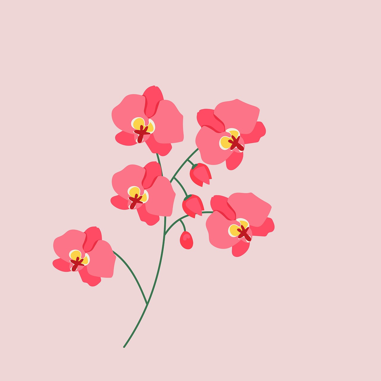 Download Flowers, Summer, Boho. Royalty