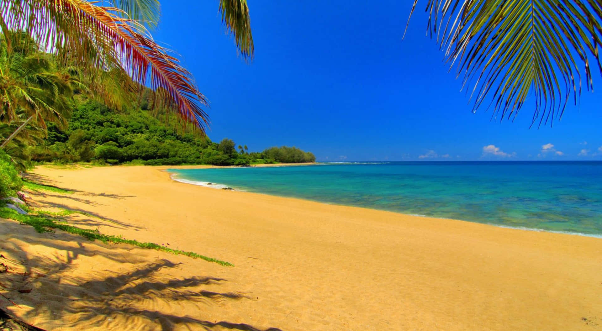 Cute Beach Wallpaper