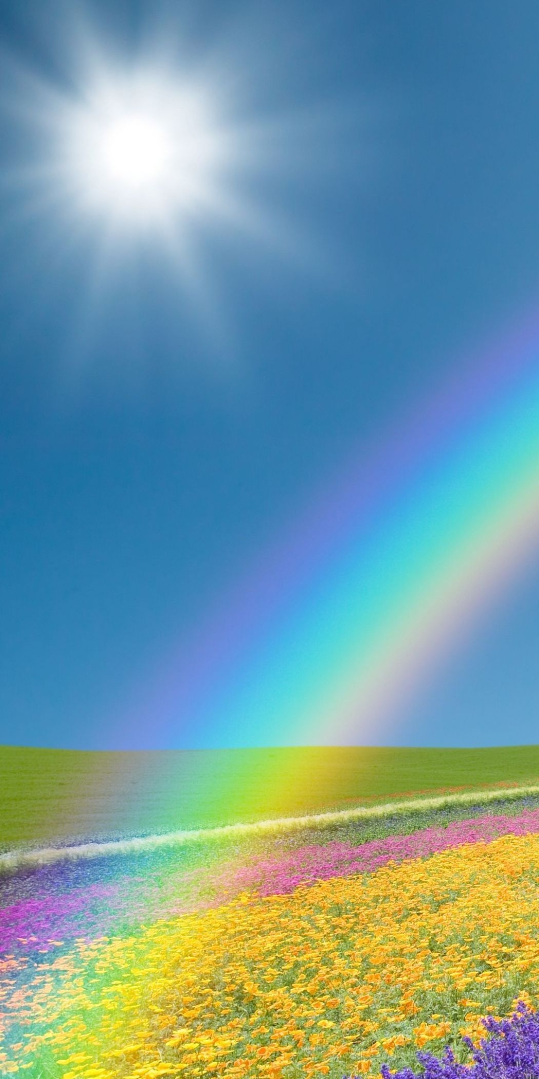 spring field with rainbow and sunshine