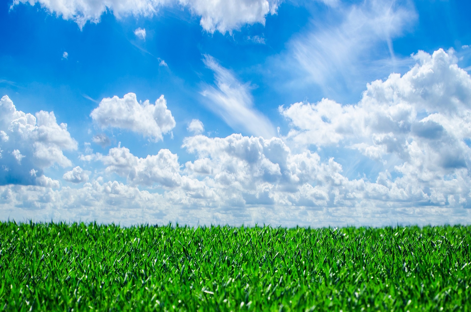 nature, horizon, cloud, plant