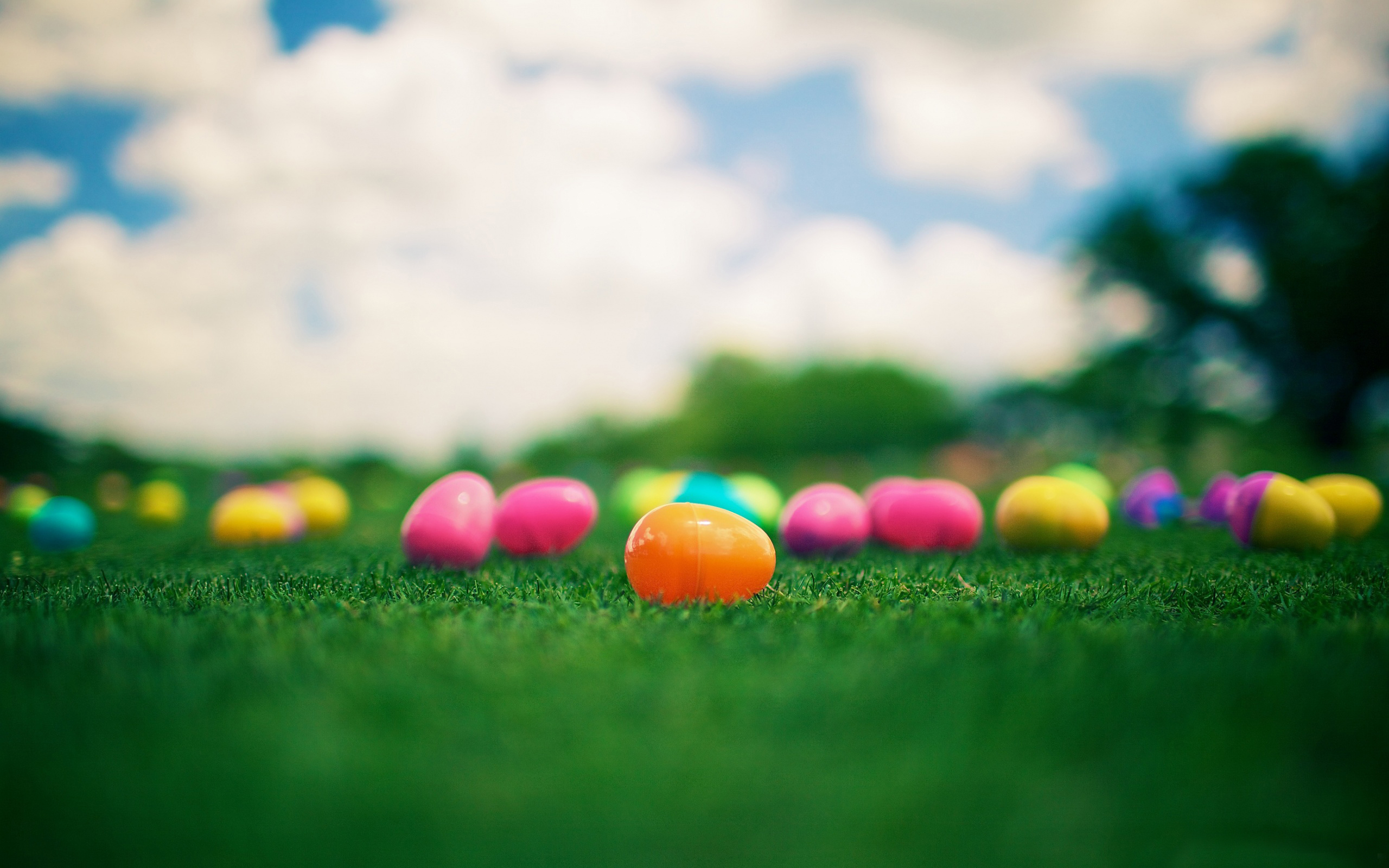 Wallpaper grass, eggs, Easter, colorful