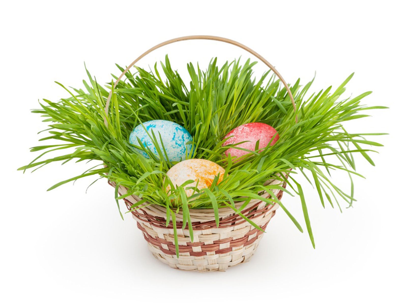 Natural Easter Grass Ideas