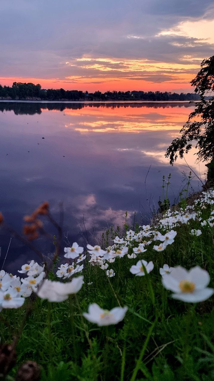 Wallpaper, 4K. Download wallpaper