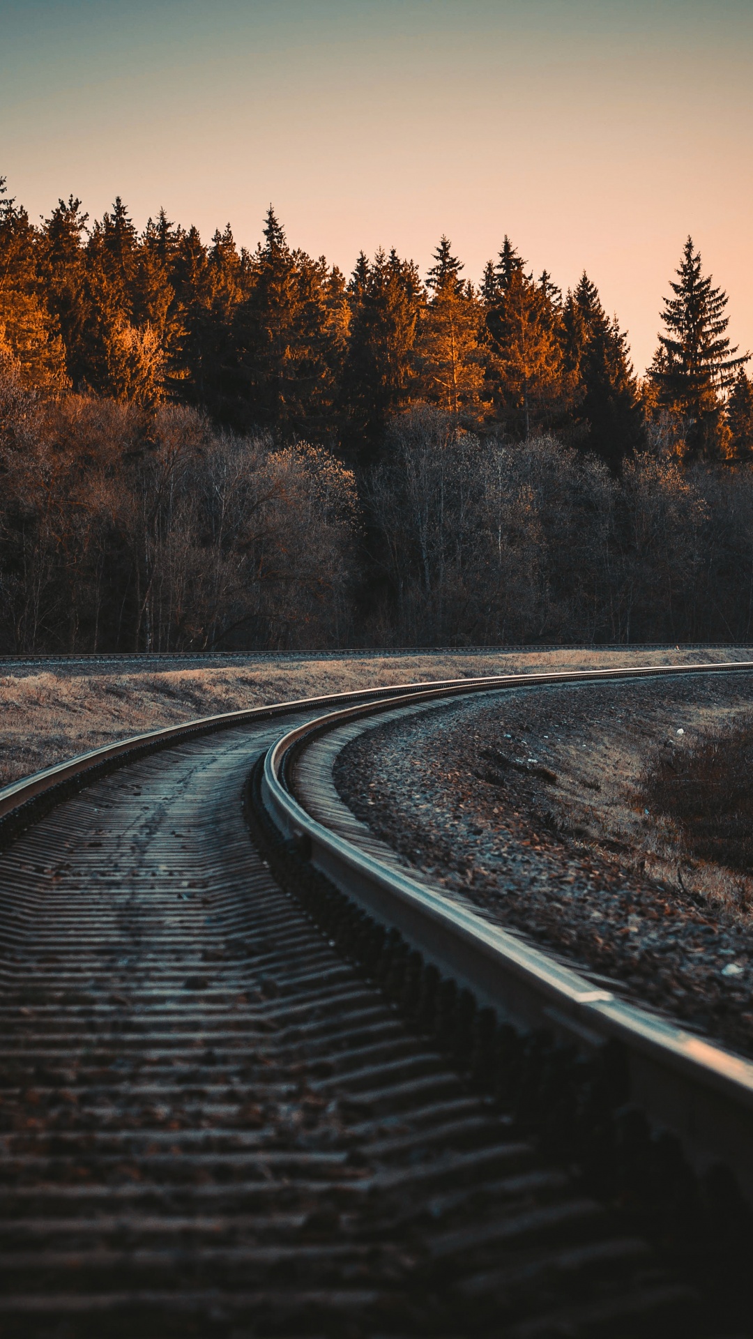 Railway track Wallpaper 4K, Trees