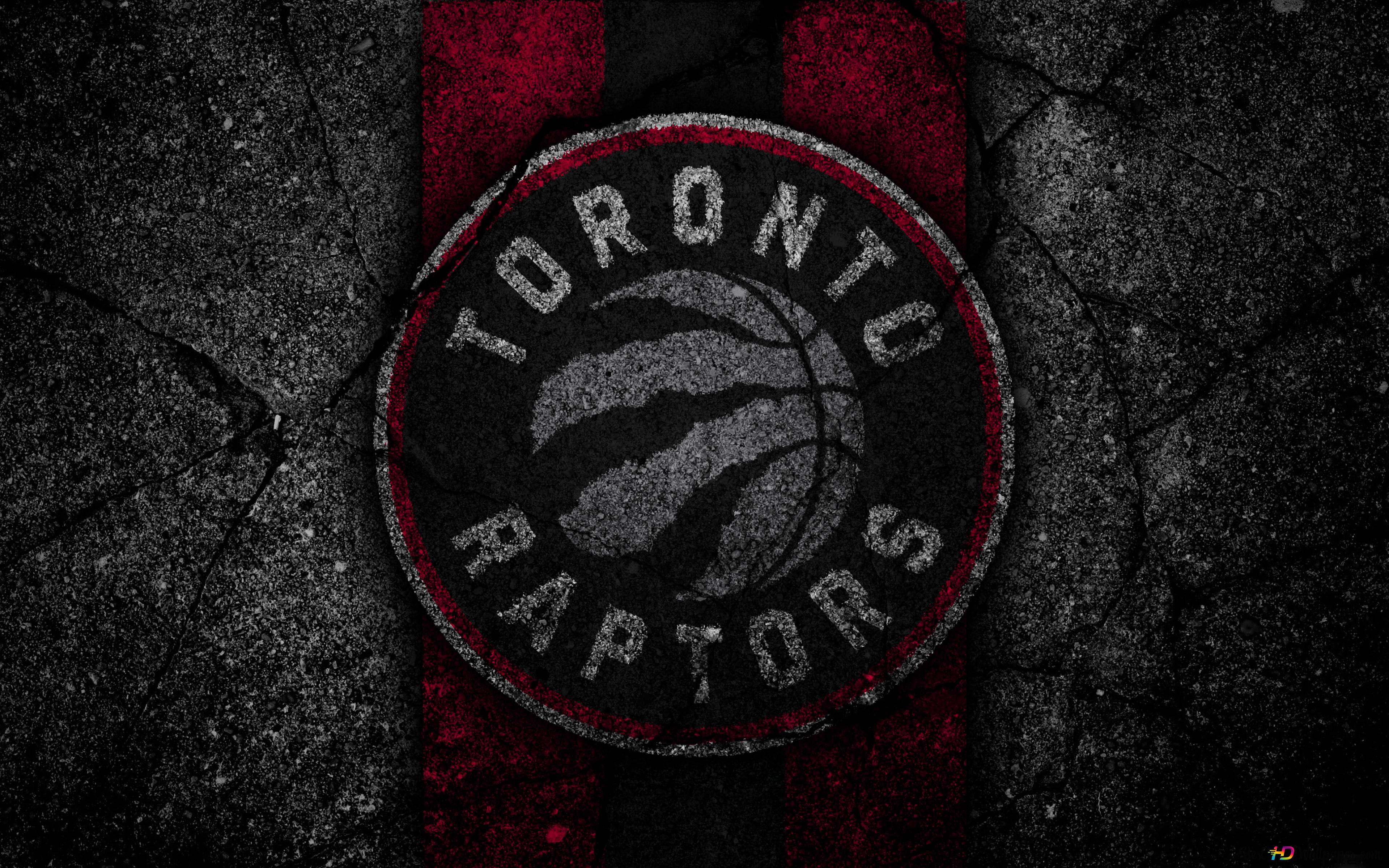 Toronto Raptors 4K wallpaper