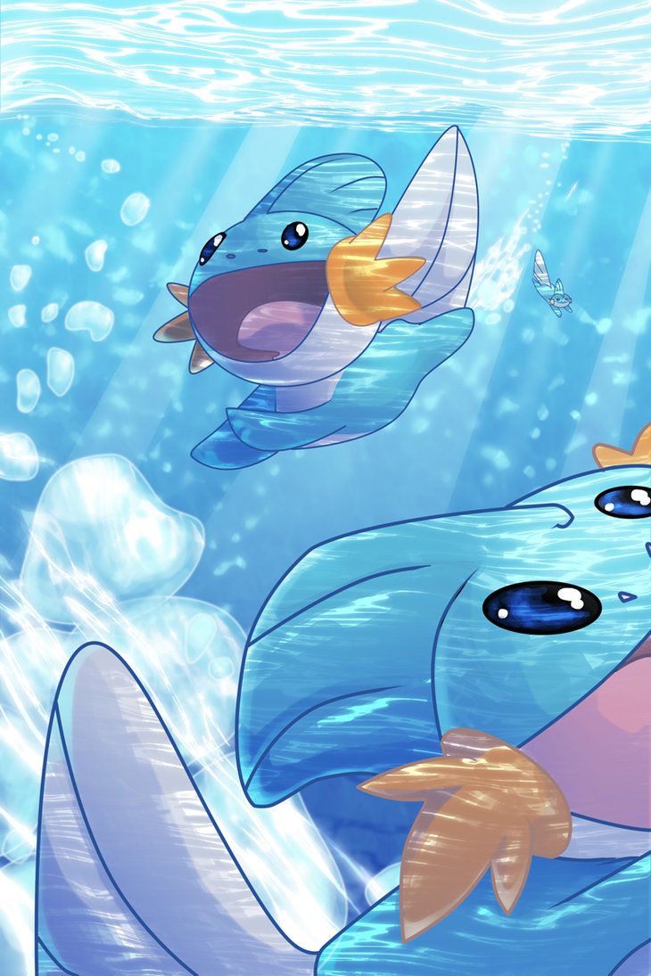 Explore. Dream. Discover