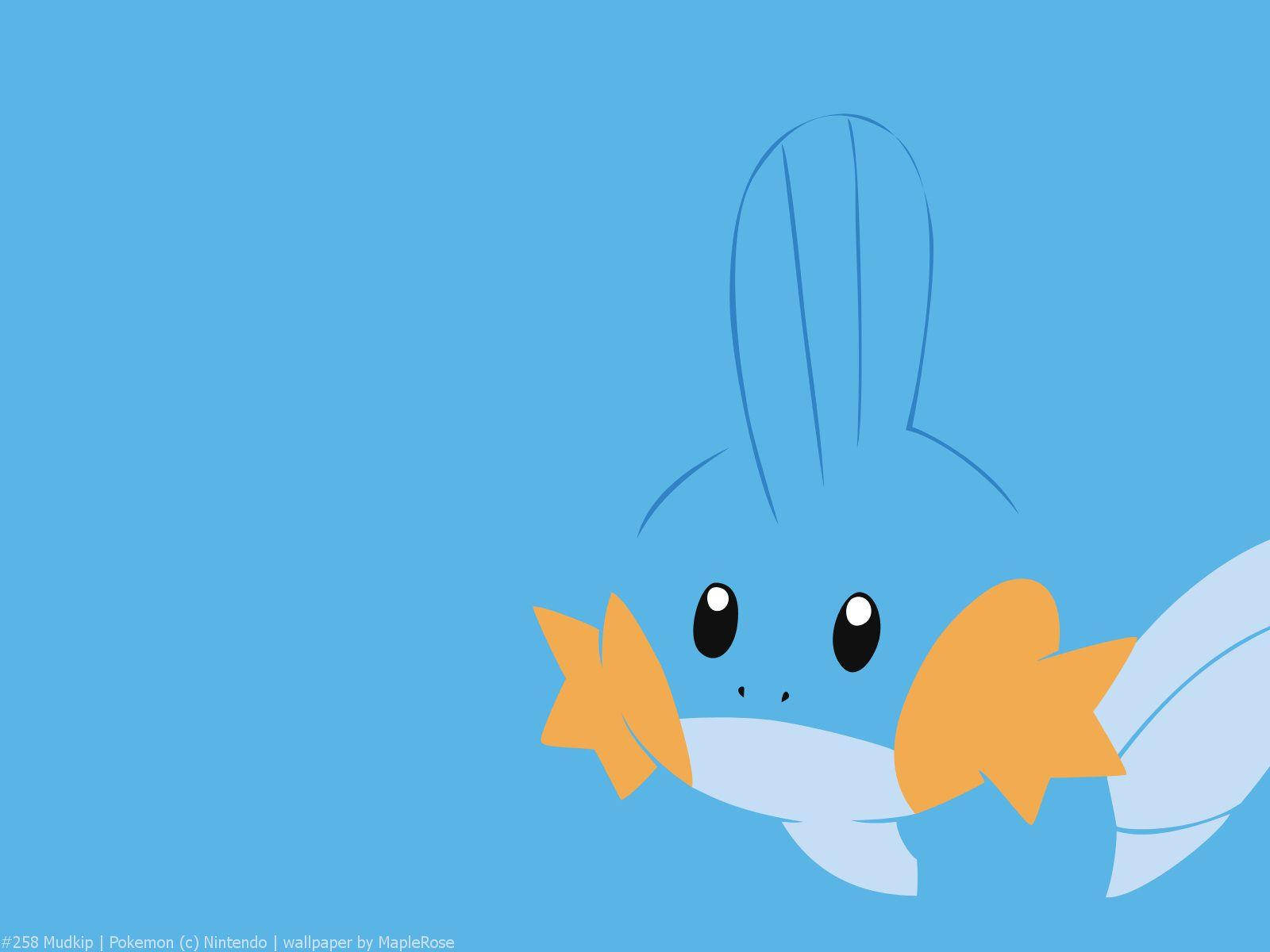 Mudkip Wallpaper