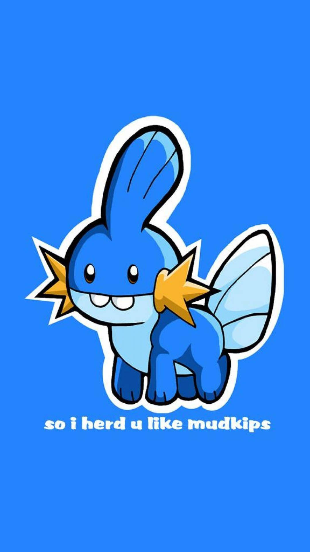 An Adorable Mudkip Plushie Waits For A