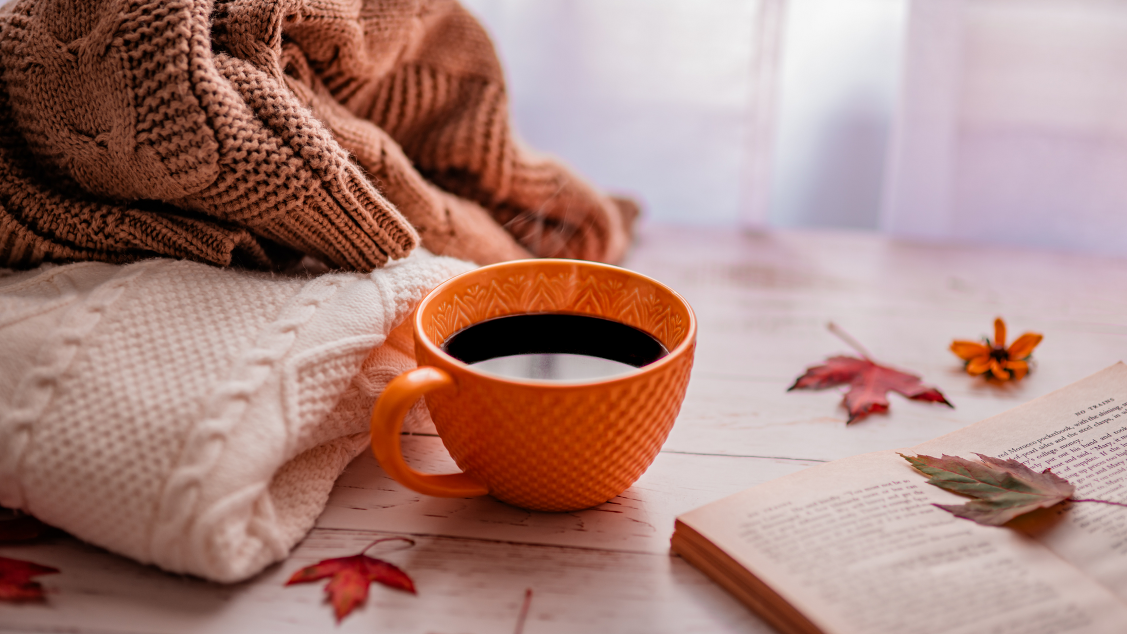 Transitioning to Fall Apartment Living