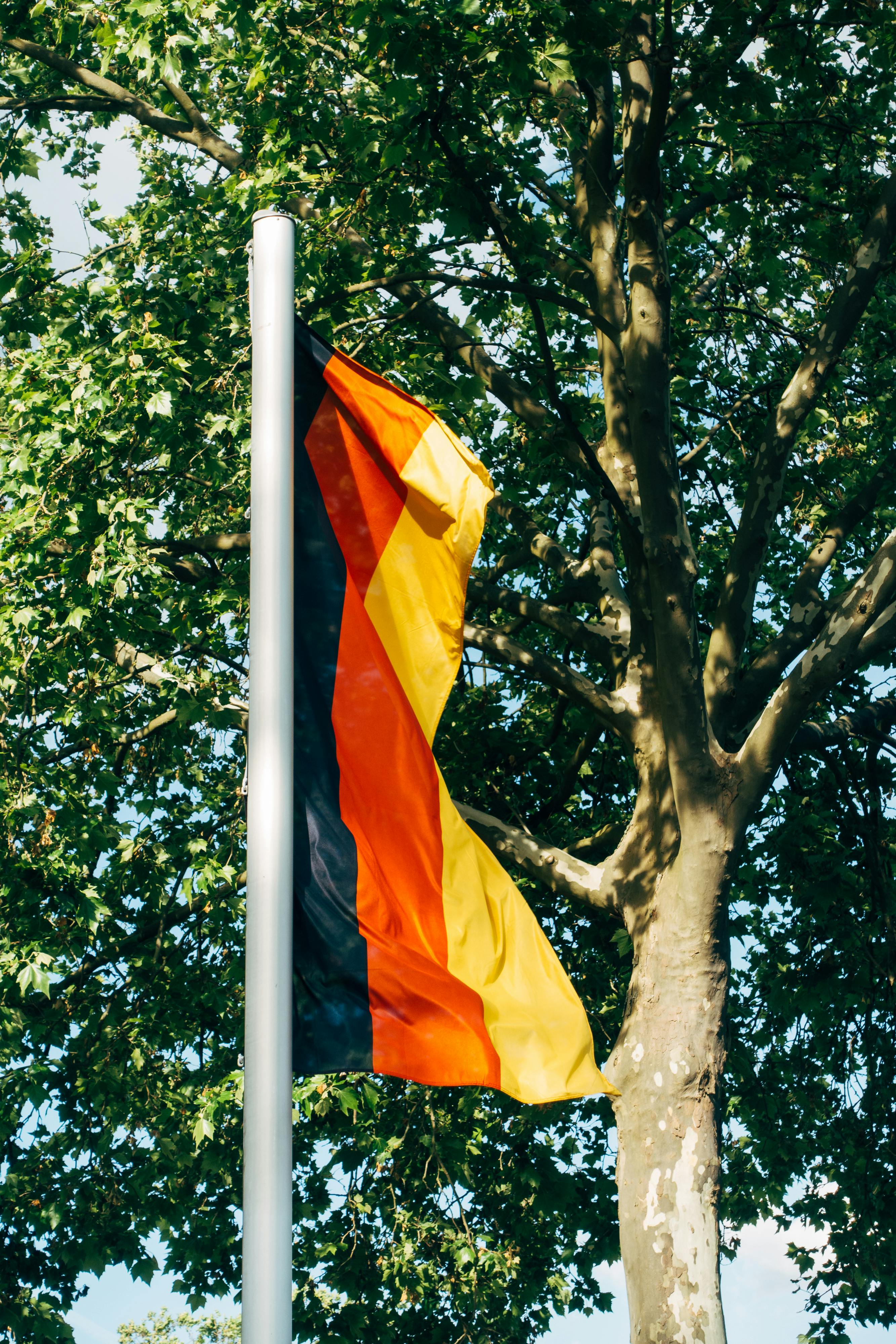 Flag Of Germany Photo, Download