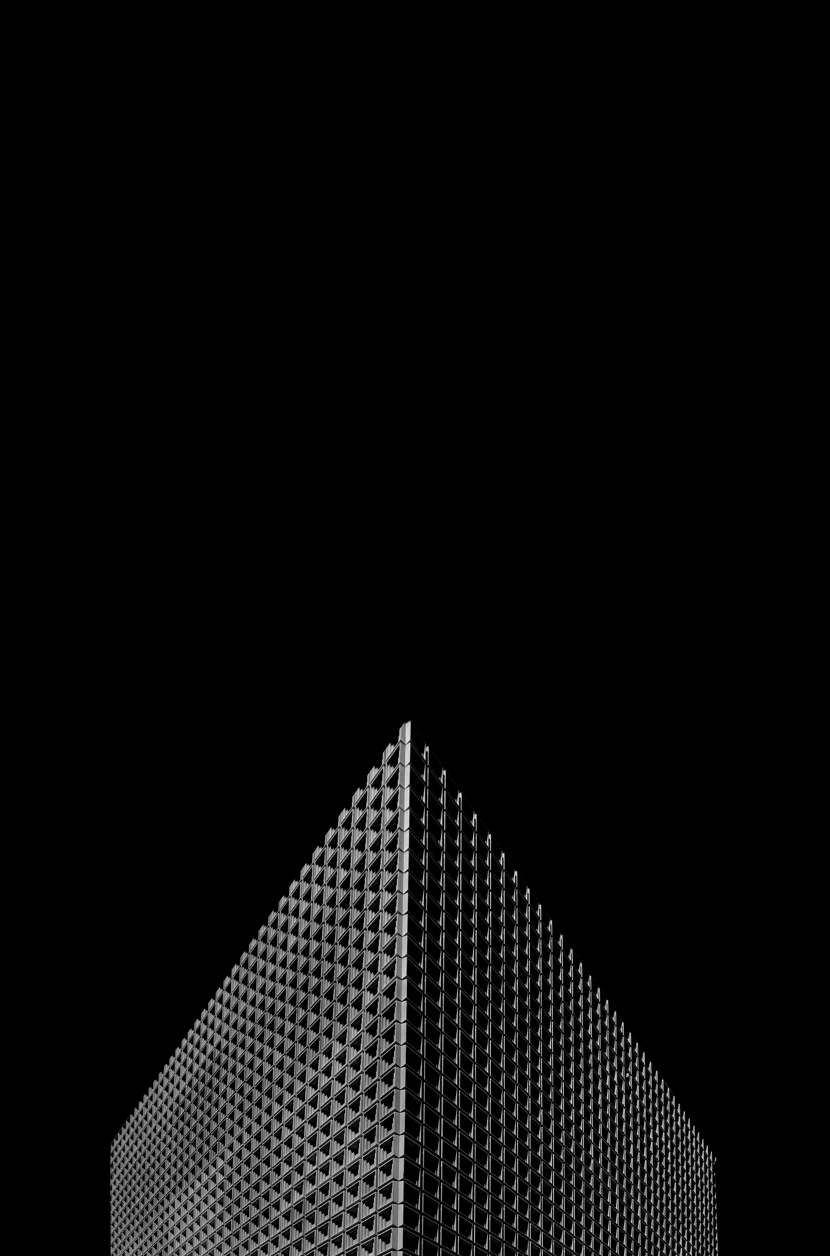 Download Angle wallpaper for mobile