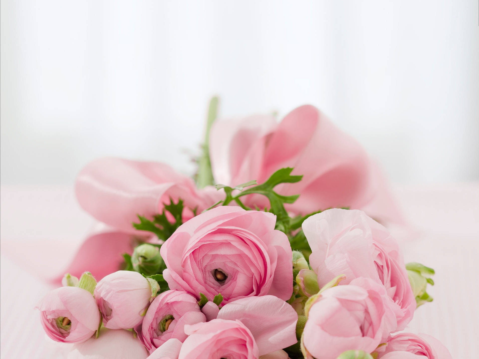 Download Pink Flowers Aesthetic With