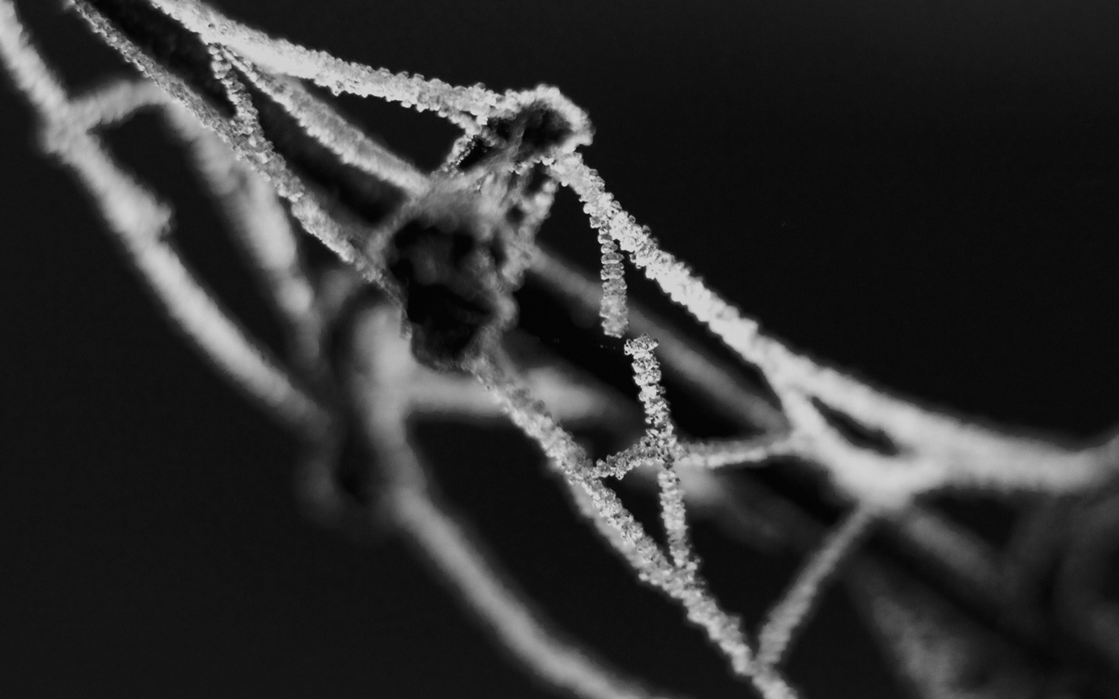 Broken Chain Bw Dark Bokeh Pattern