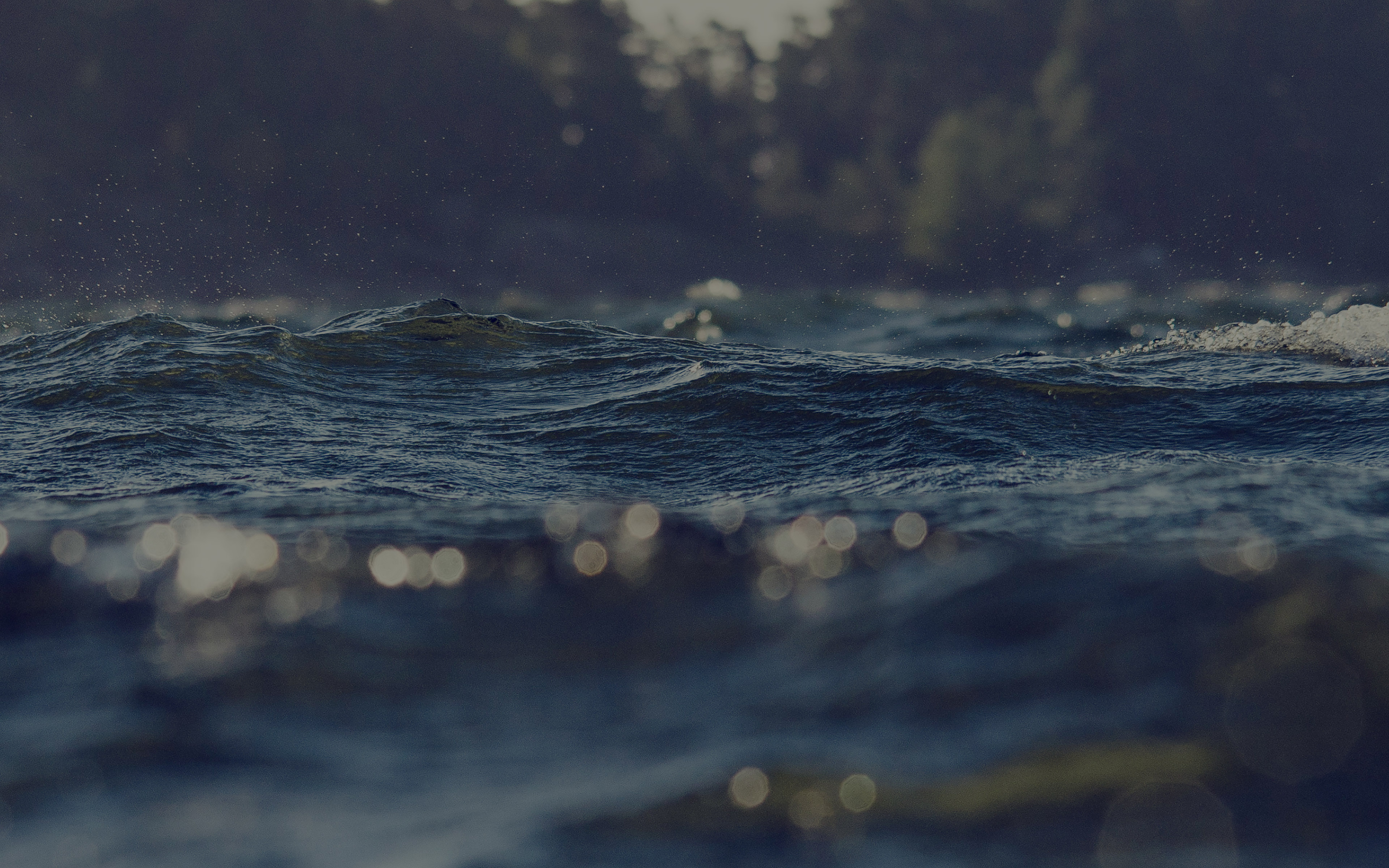 wallpaper for desktop, laptop. mh42