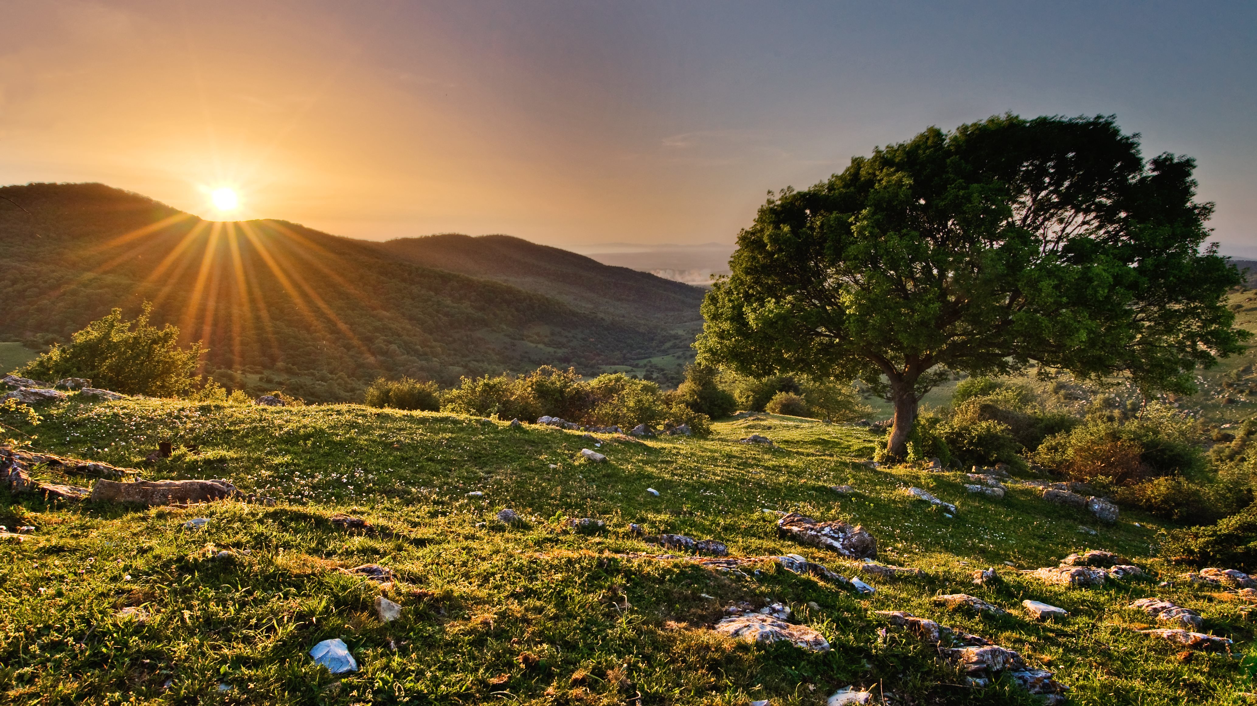 Nature Sunrise 4k Ultra HD Wallpaper