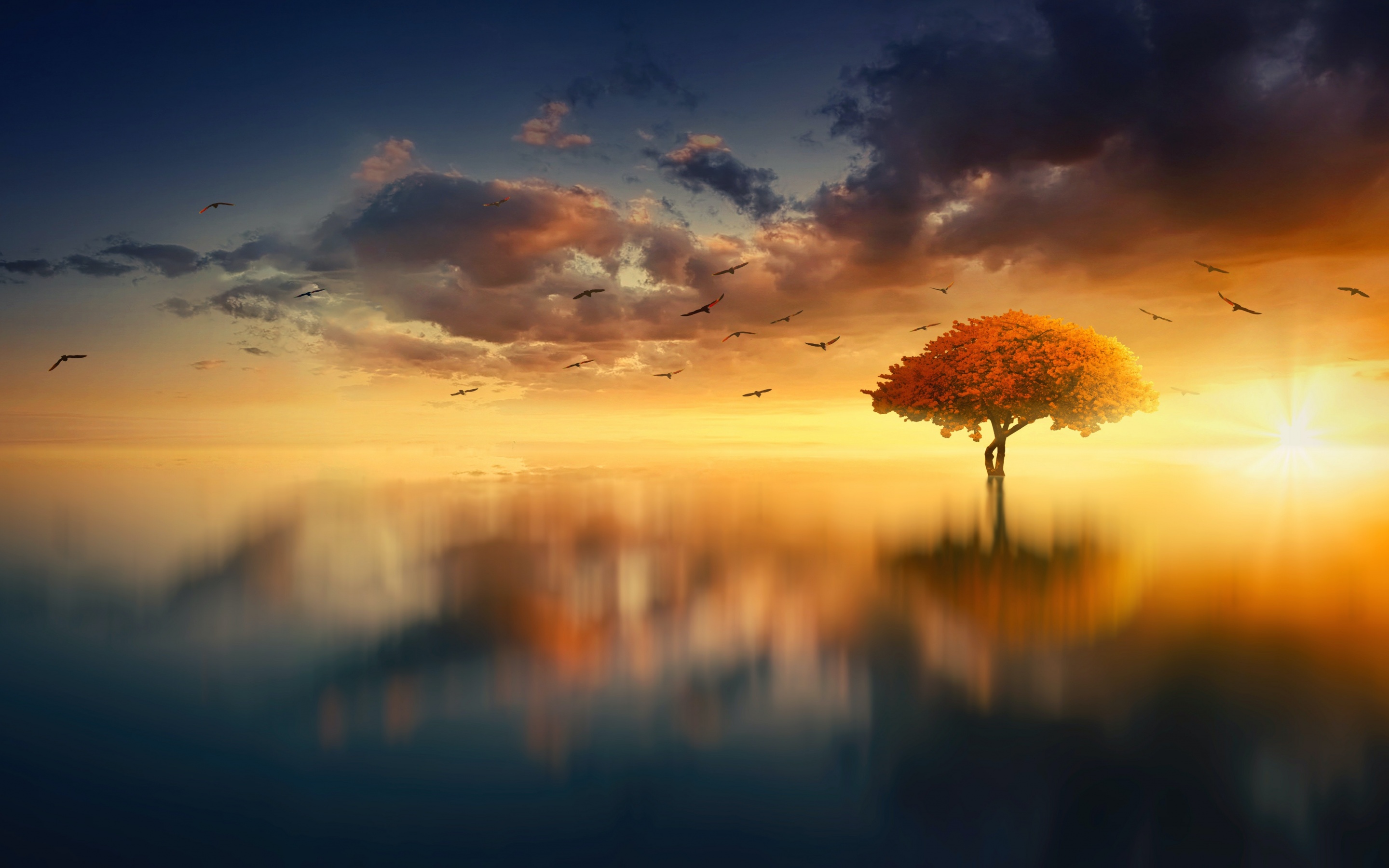Tree Wallpaper 4K, Sunrise, Birds