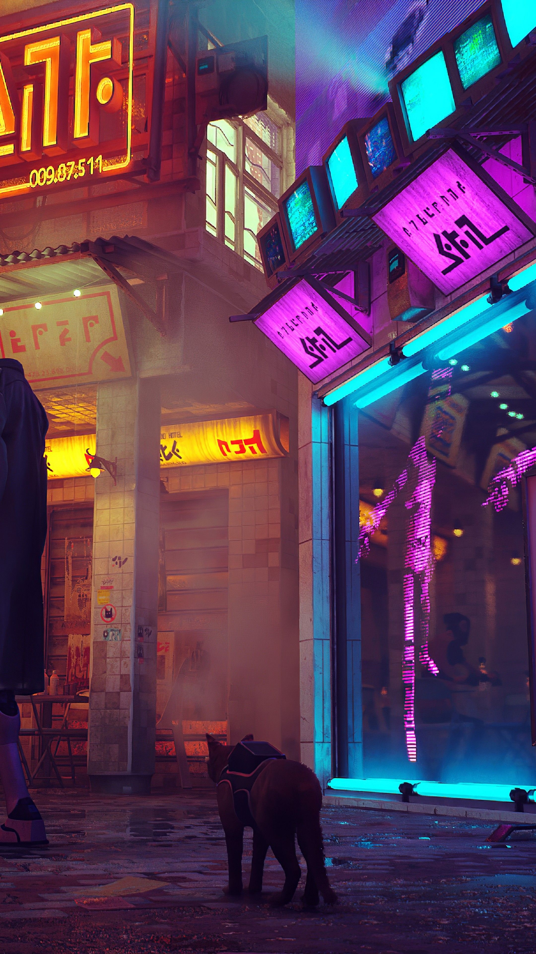 Stray (Game) Wallpaper (